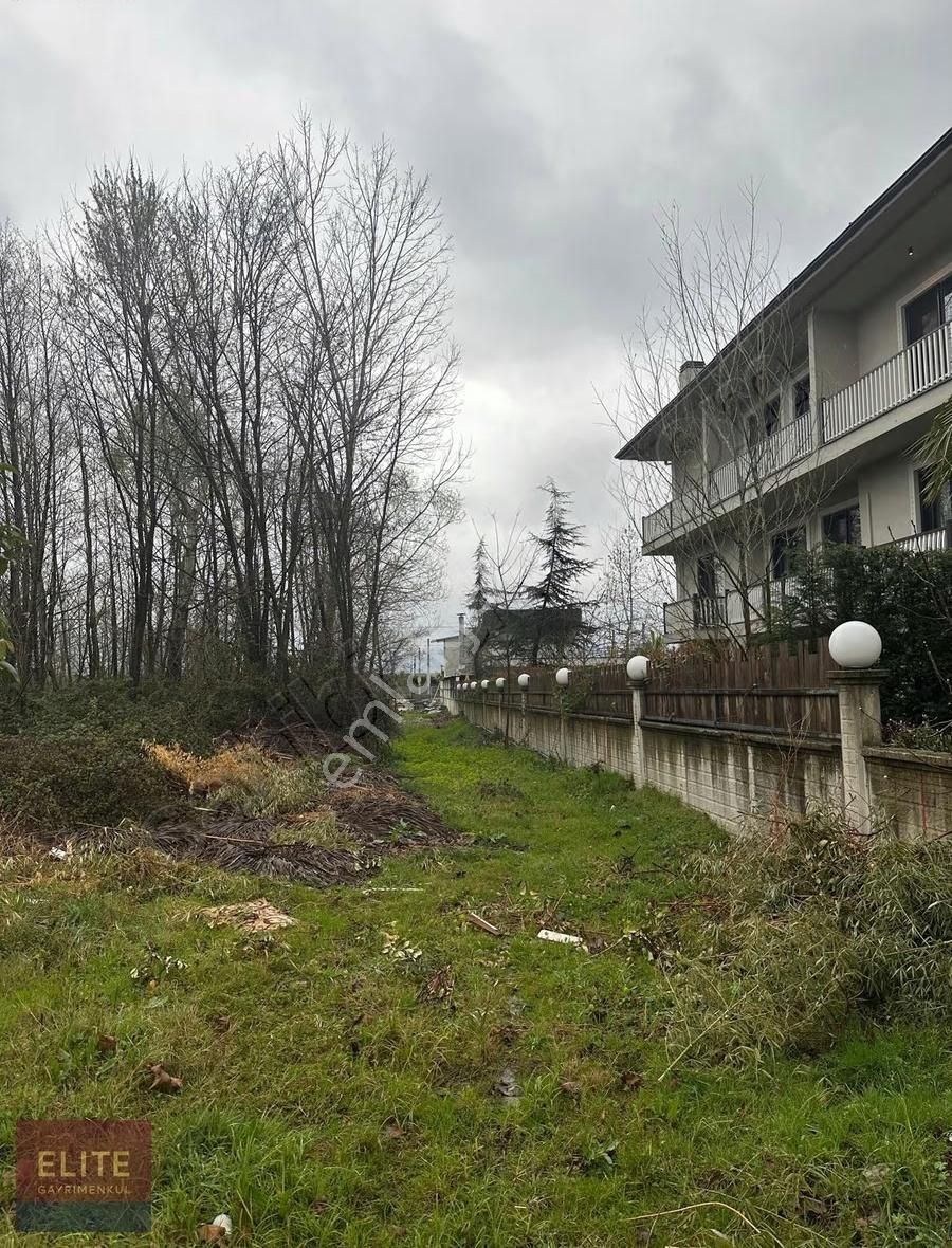 Sapanca Kırkpınar Ticari İmarlı Arsa - Görsel 2