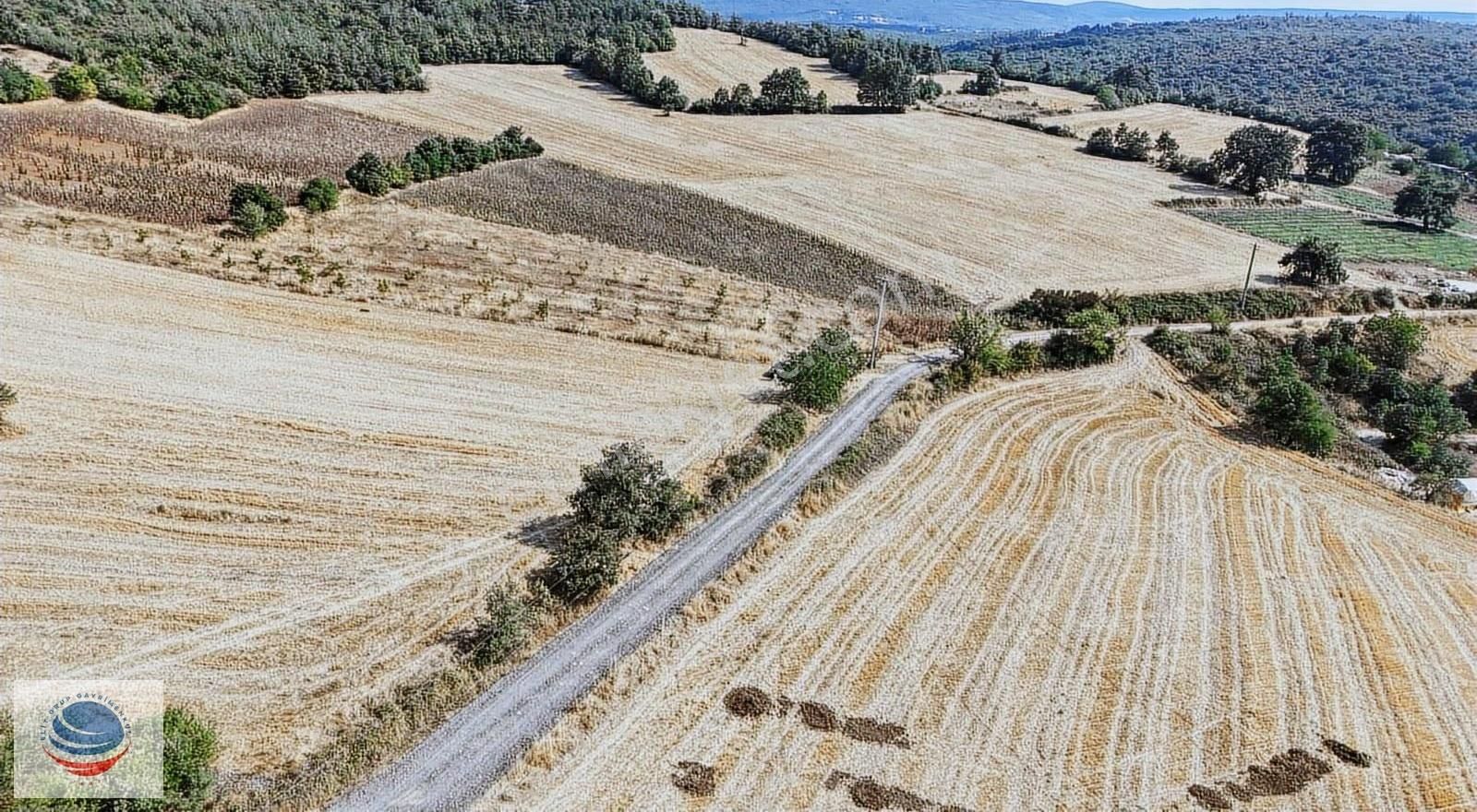 Bursa Yenişehir Günece Mah.2645 M2 Satılık Tarla - Görsel 10