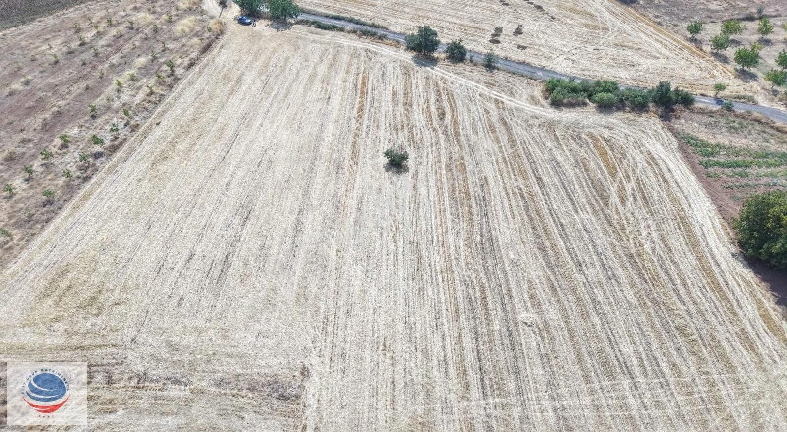 Bursa Yenişehir Günece Mah.2645 M2 Satılık Tarla - Görsel 12