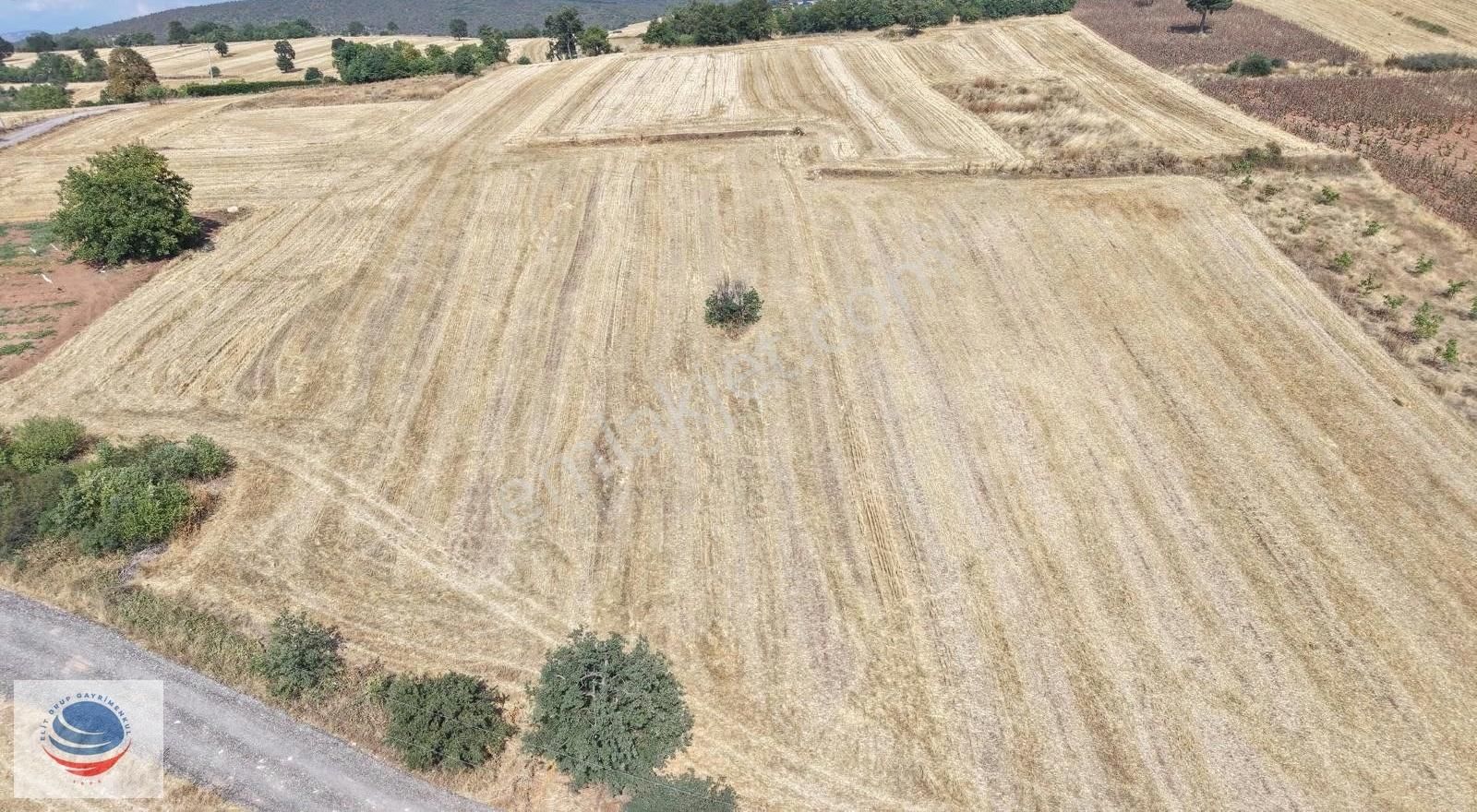 Bursa Yenişehir Günece Mah.2645 M2 Satılık Tarla - Görsel 2