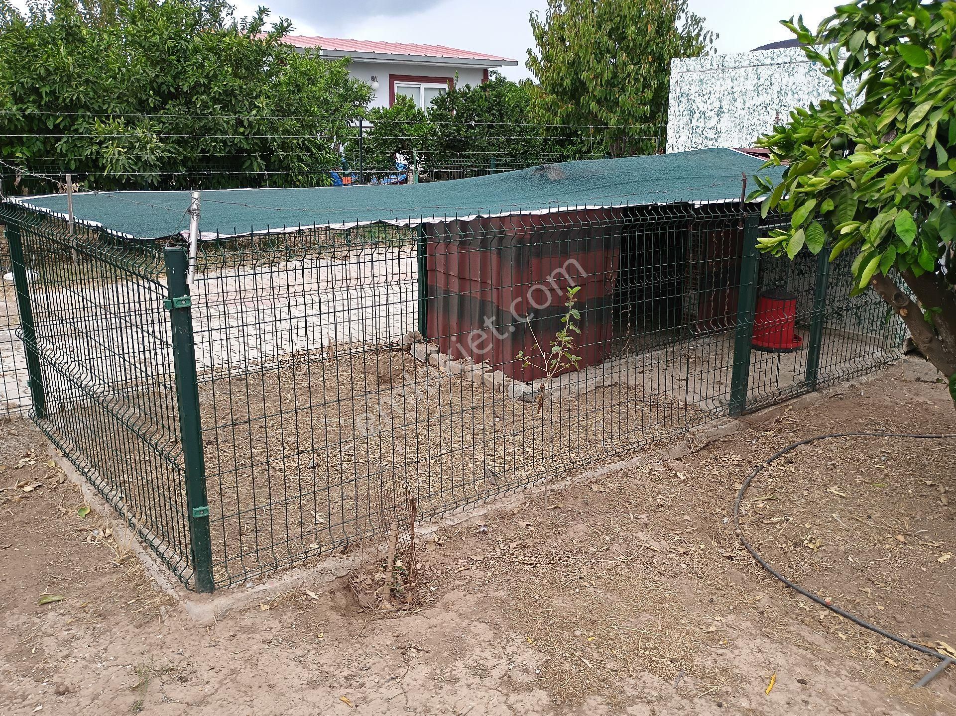 Sahibinden Cadde Üzeri Denize Yakın - Görsel 22