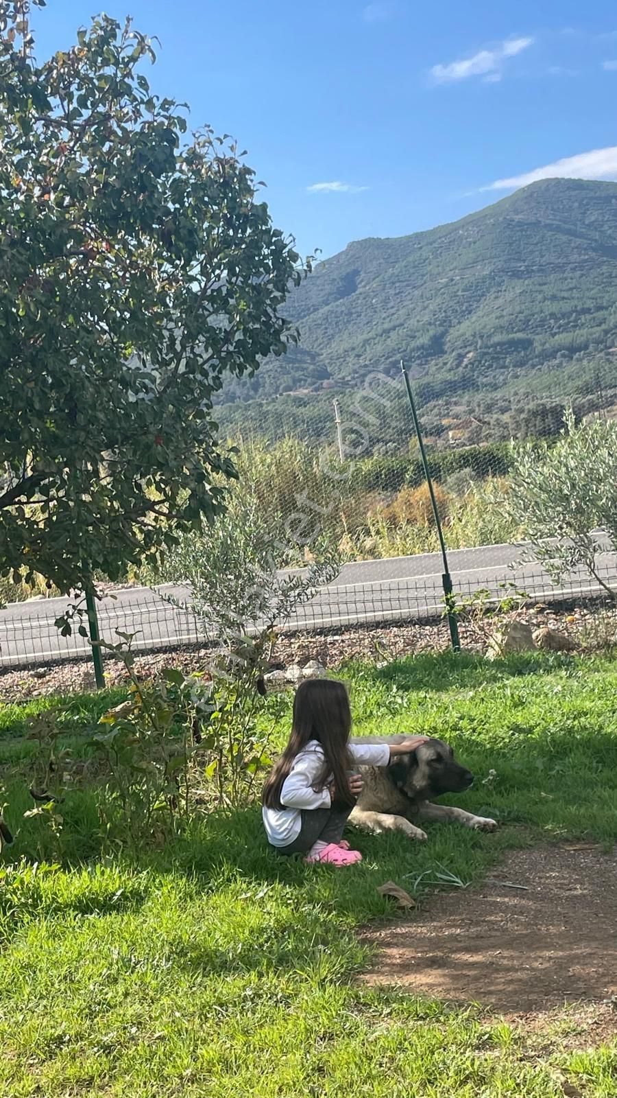 Sahibinden Cadde Üzeri Denize Yakın - Görsel 23