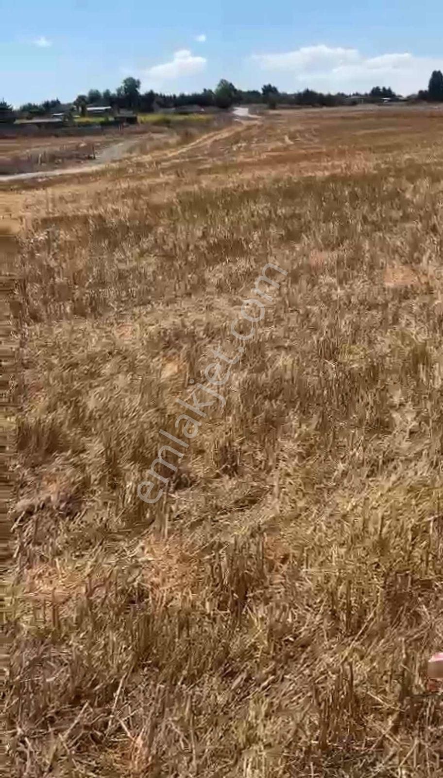 Yatırımın Yeni Merkezi Arnavutköy | İmar Planlı Arsa - Görsel 27