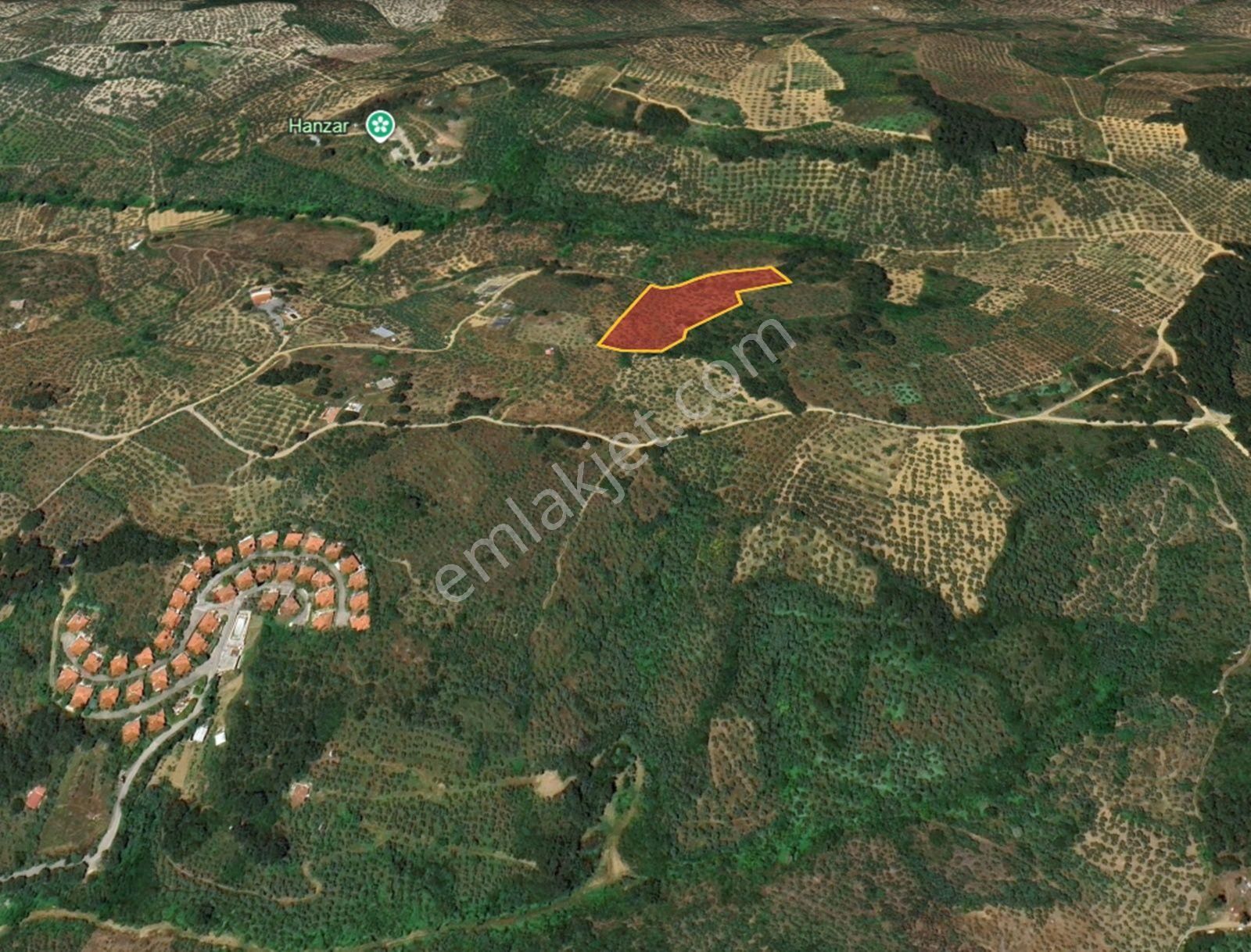 Mudanya Şükrüçavuş Da Deniz Manzaralı Satılık Zeytinlik - Görsel 7
