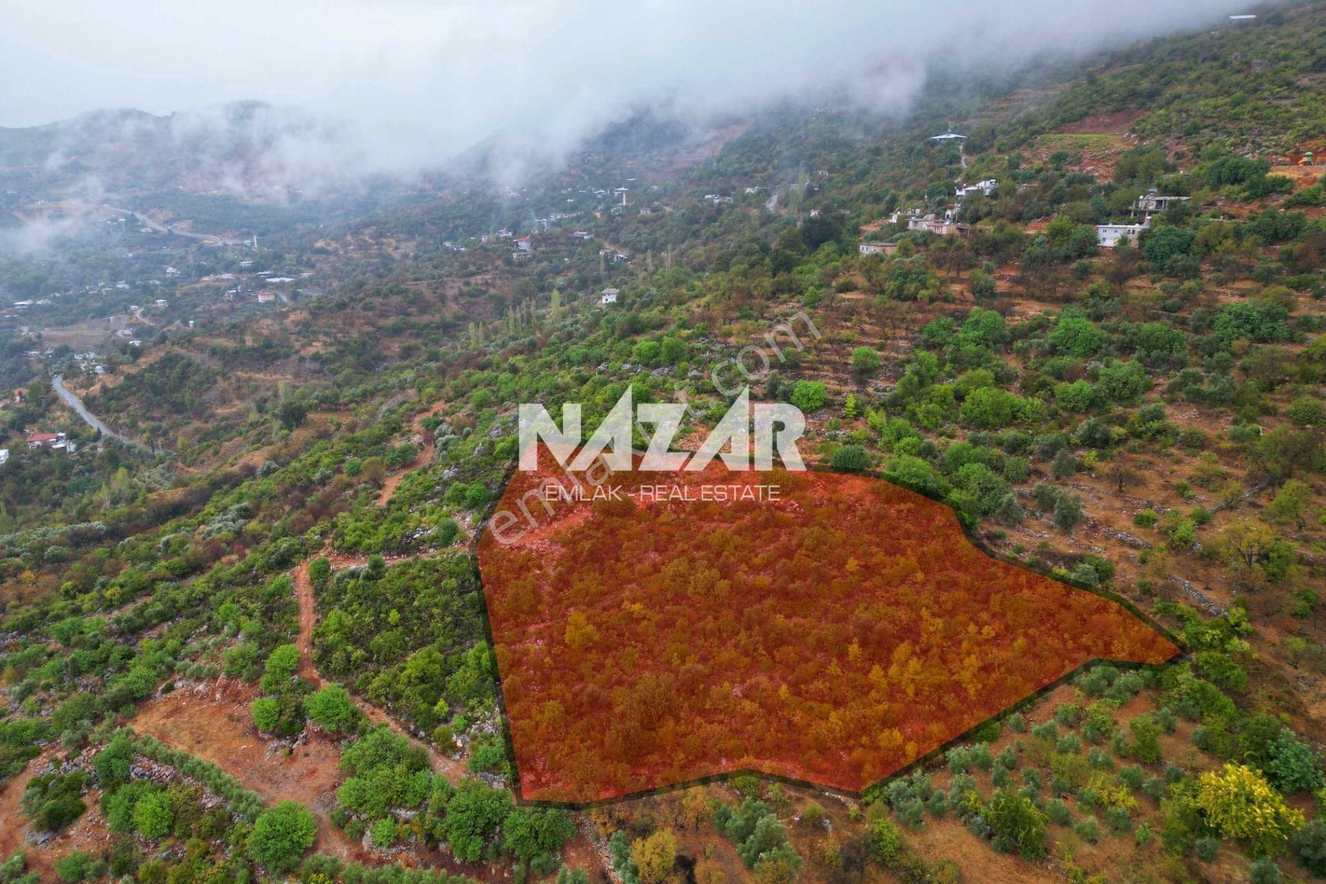 Alanya Yenice'de 4.713 M² Satılık Deniz Manzaralı Tarla - Görsel 4