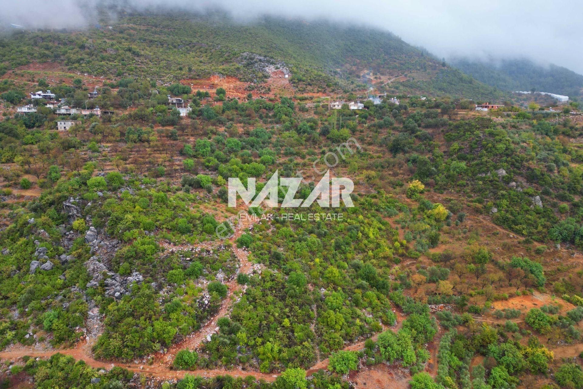 Alanya Yenice'de 4.713 M² Satılık Deniz Manzaralı Tarla - Görsel 11