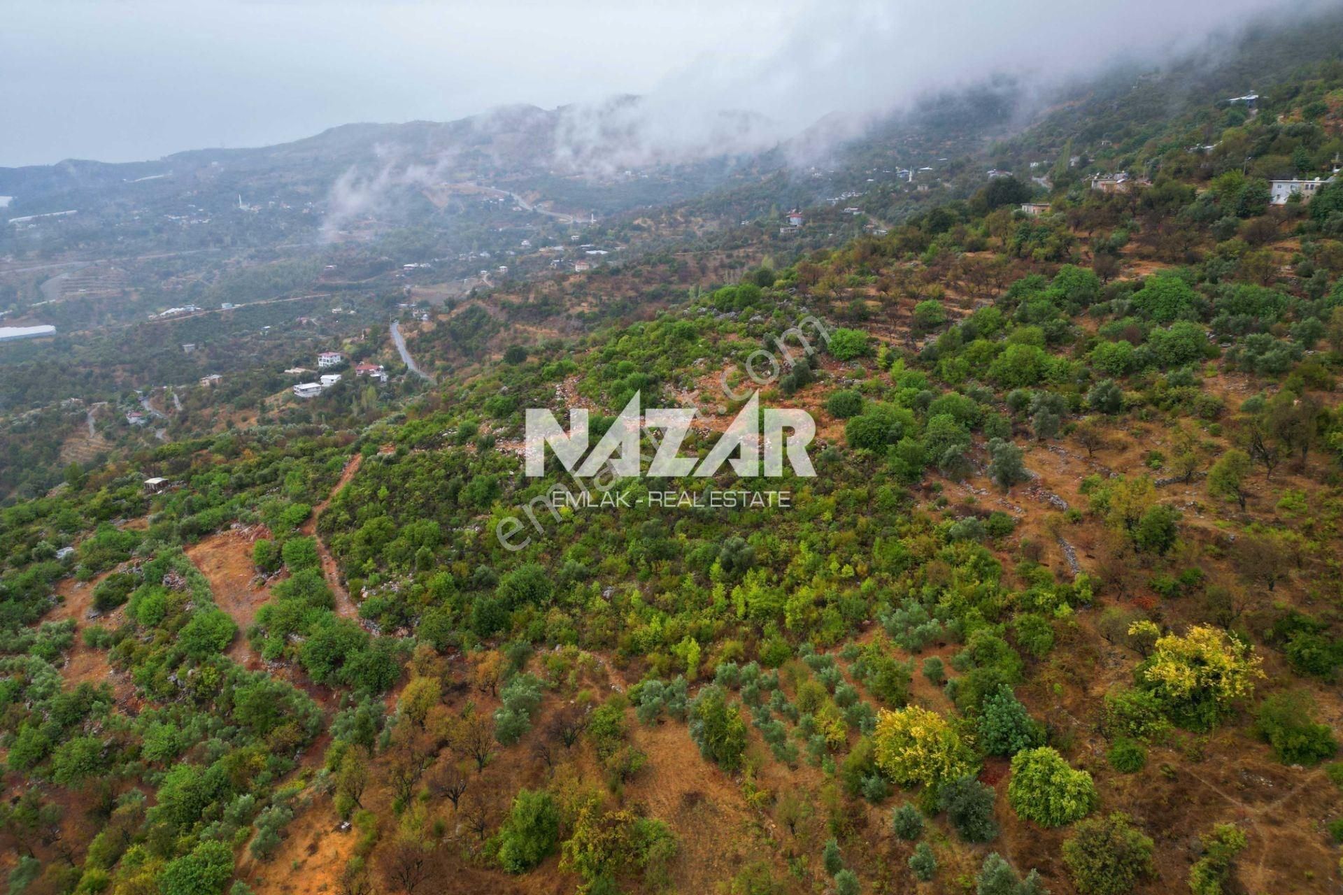 Alanya Yenice'de 4.713 M² Satılık Deniz Manzaralı Tarla - Görsel 7