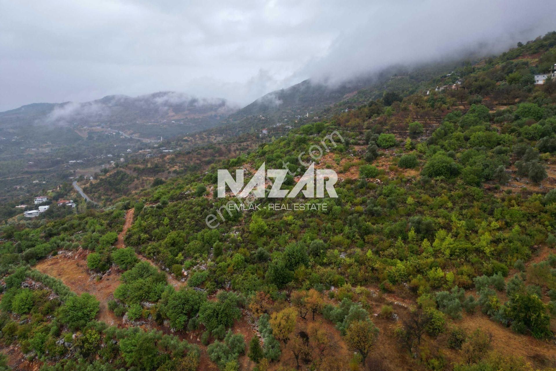 Alanya Yenice'de 4.713 M² Satılık Deniz Manzaralı Tarla - Görsel 14