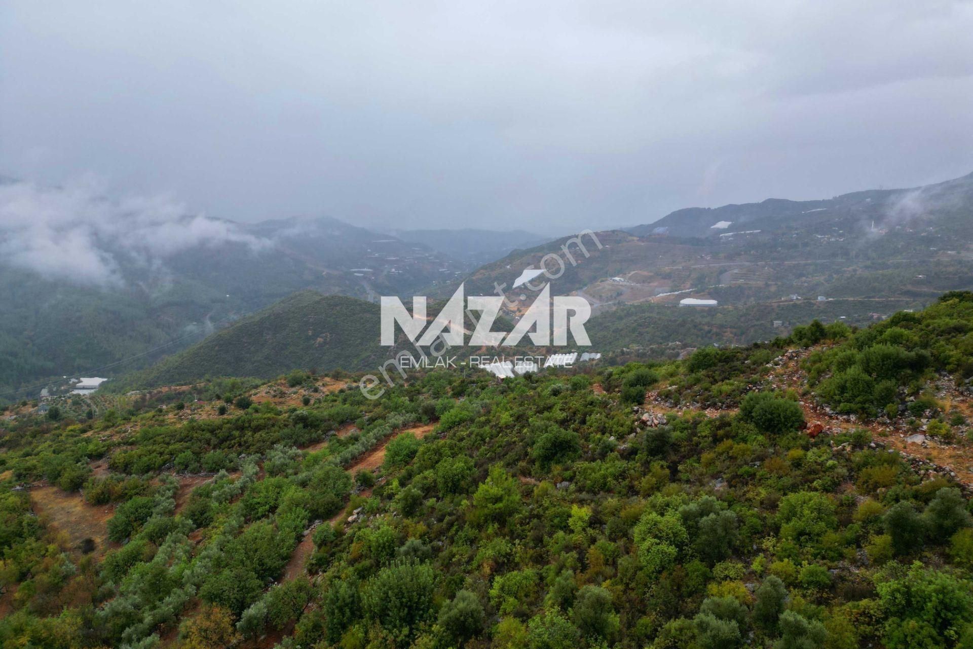 Alanya Yenice'de 4.713 M² Satılık Deniz Manzaralı Tarla - Görsel 8