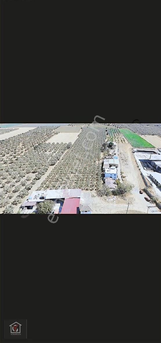 Çapak'ta Hisseli 210 M2 Fırsat Zeytinlik Merkeze 3 Dakika - Görsel 3