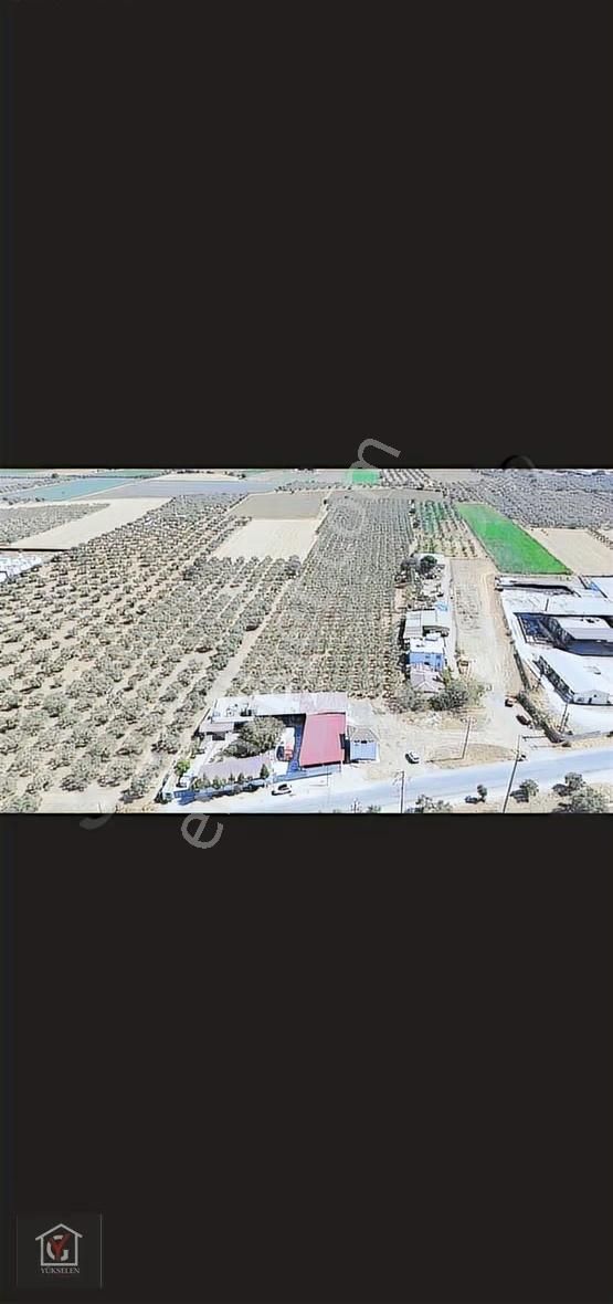 Çapak'ta Hisseli 210 M2 Fırsat Zeytinlik Merkeze 3 Dakika - Görsel 5