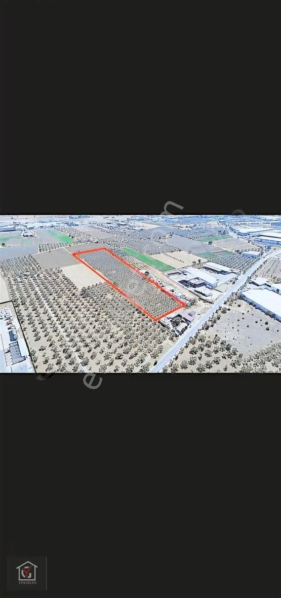 Çapak'ta Hisseli 210 M2 Fırsat Zeytinlik Merkeze 3 Dakika - Görsel 2