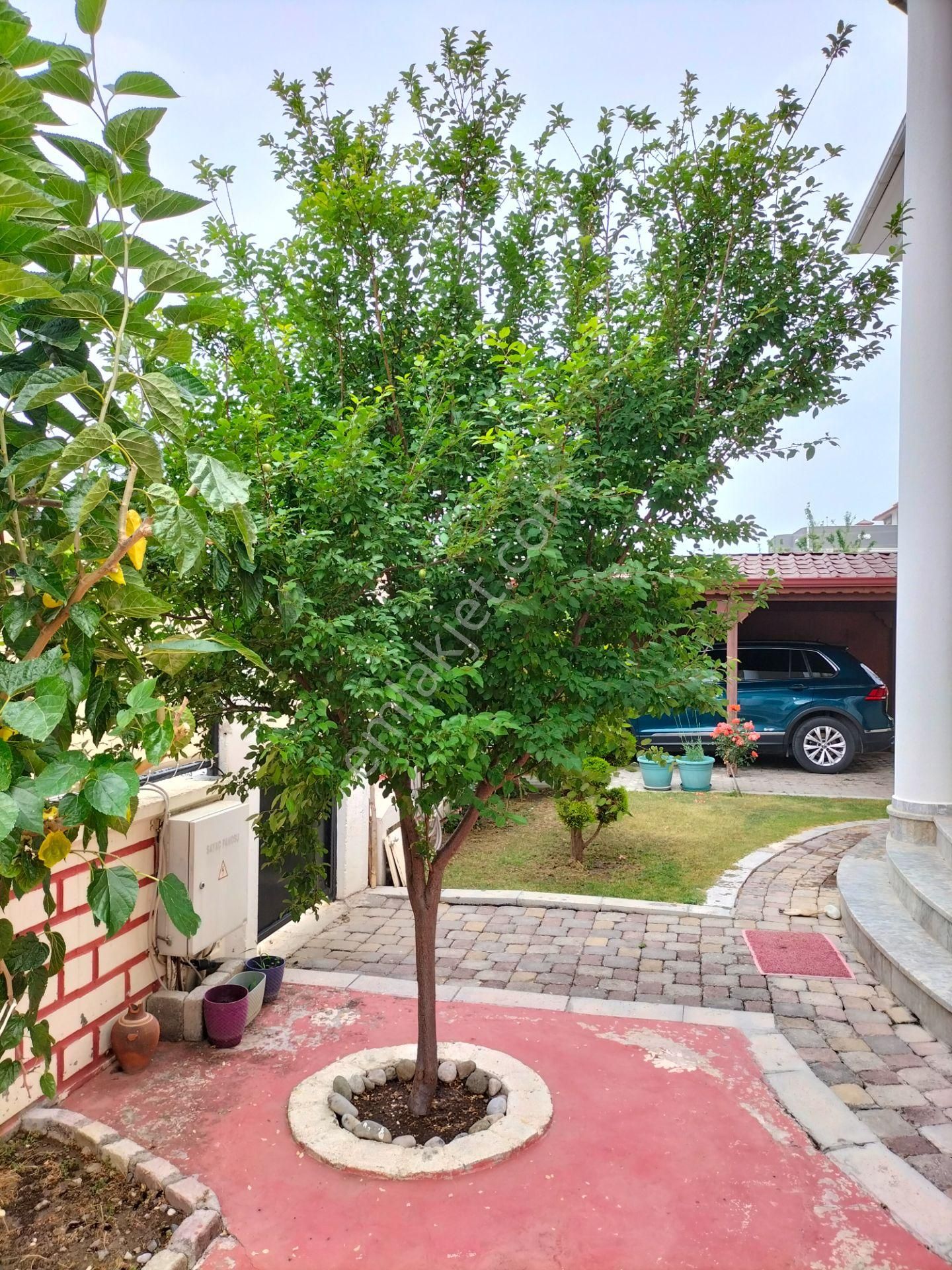 Sahibinden , 420 M2 , Müstakil, Havuzlu Tripleks Villa - Görsel 8