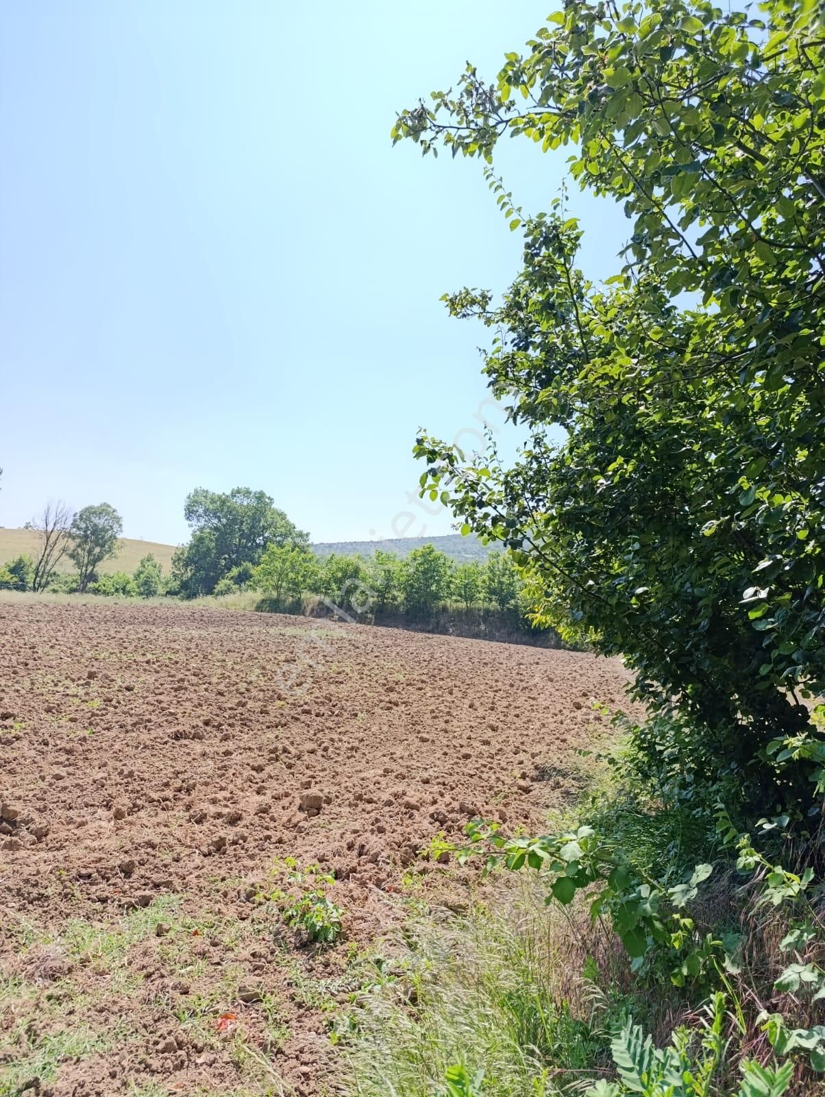 Bursa Yenişehir Fethiye Satılık 3000m2 Tarla - Görsel 5