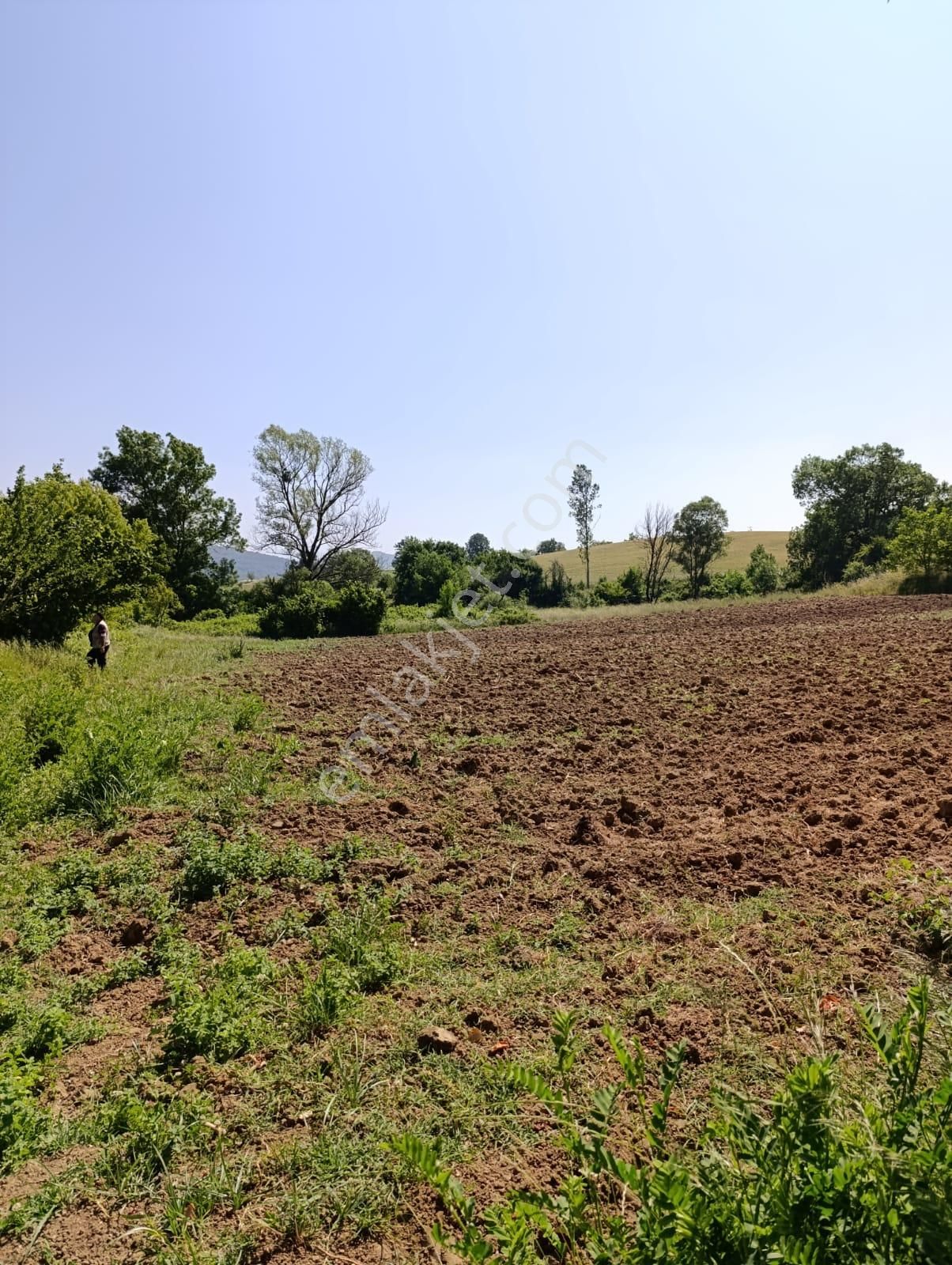 Bursa Yenişehir Fethiye Satılık 3000m2 Tarla - Görsel 4