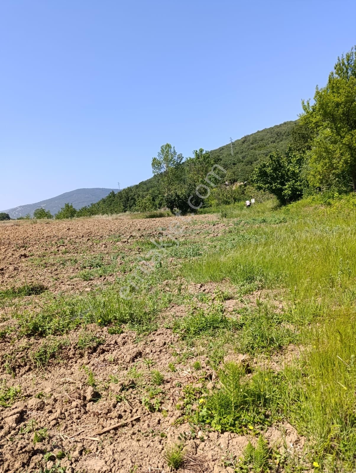 Bursa Yenişehir Fethiye Satılık 3000m2 Tarla - Görsel 7