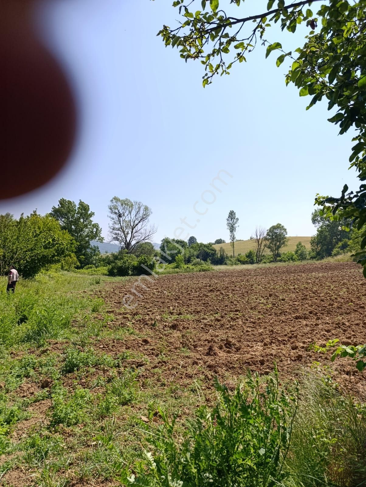 Bursa Yenişehir Fethiye Satılık 3000m2 Tarla - Görsel 6