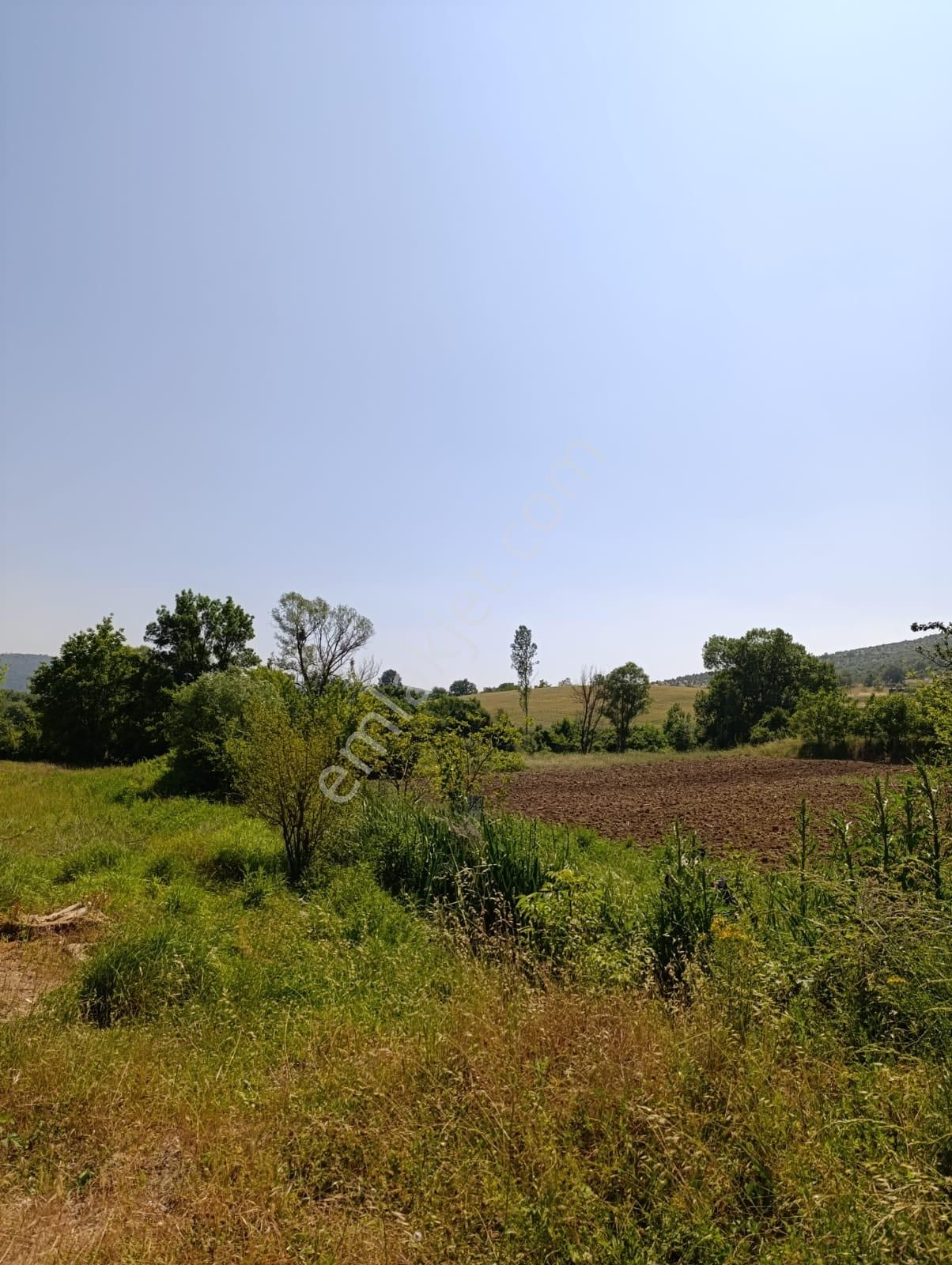 Bursa Yenişehir Fethiye Satılık 11000 M2 Tarla - Görsel 7