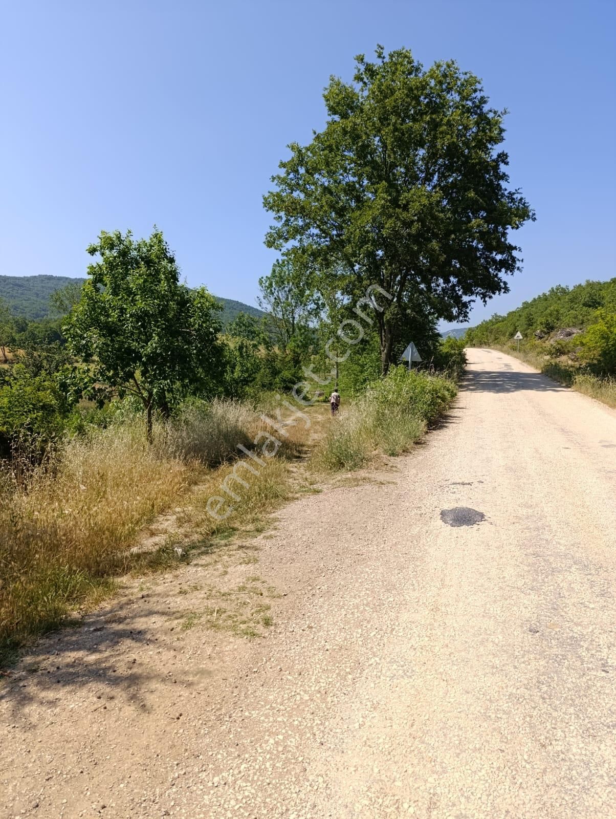 Bursa Yenişehir Fethiye Satılık 11000 M2 Tarla - Görsel 5