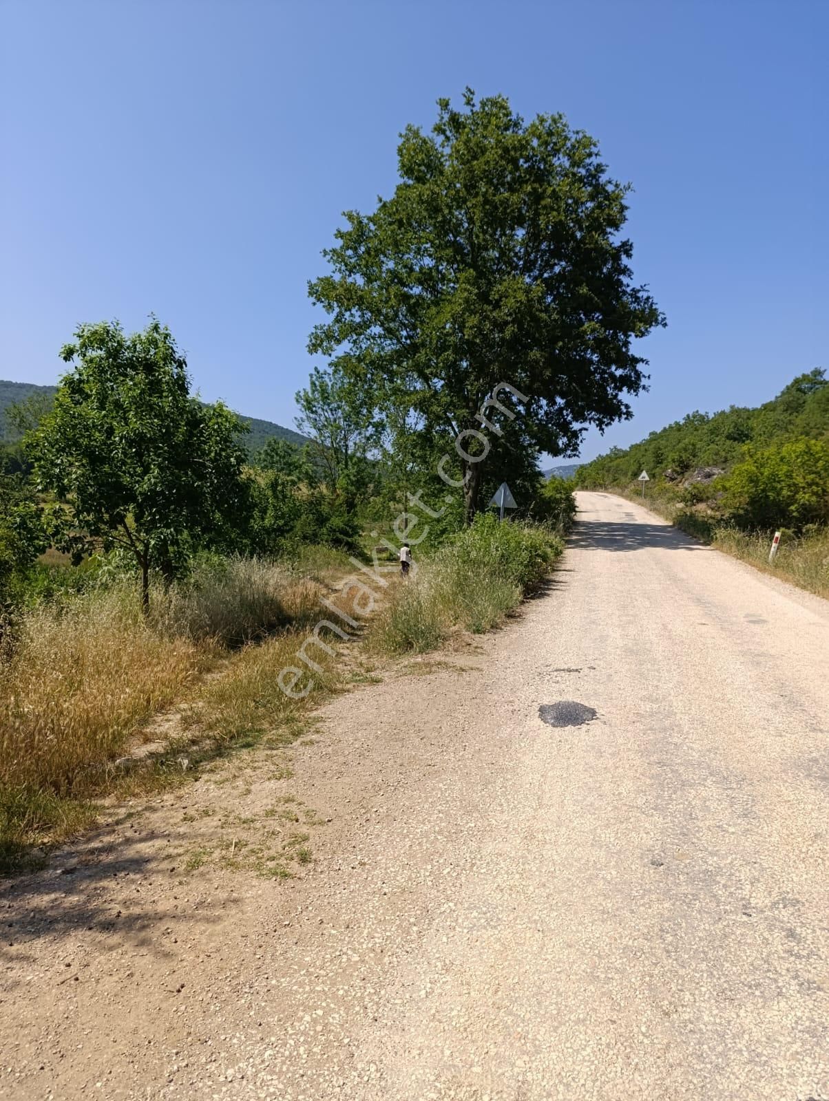 Bursa Yenişehir Fethiye Satılık 11000 M2 Tarla - Görsel 4