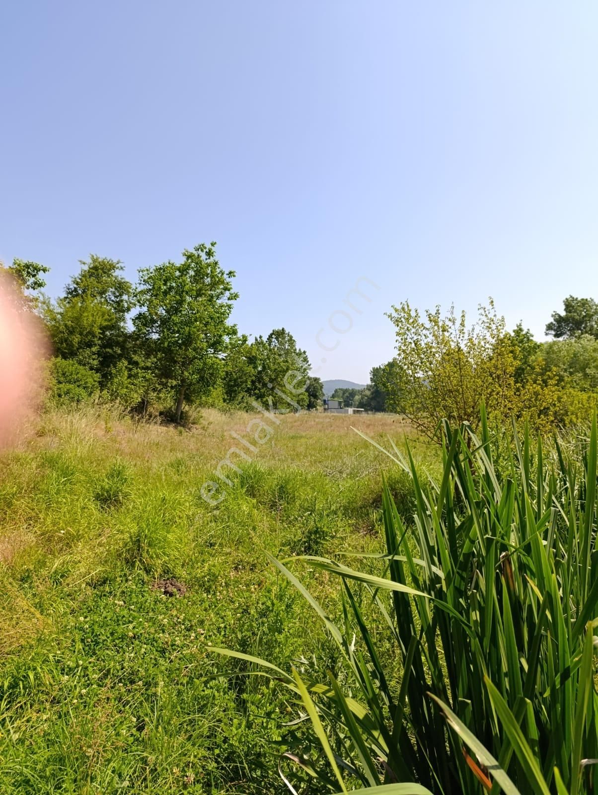 Bursa Yenişehir Fethiye Satılık 11000 M2 Tarla - Görsel 2