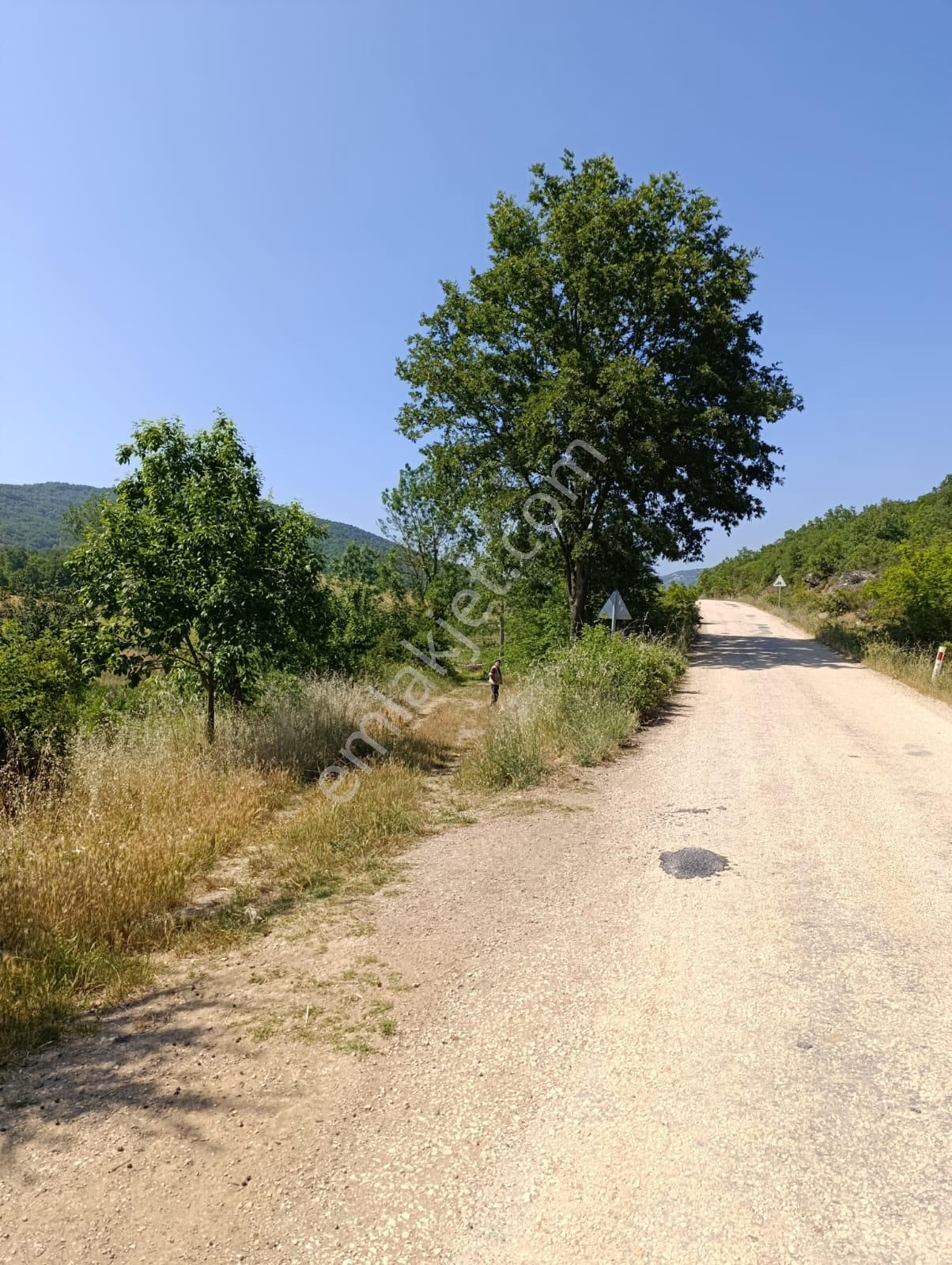 Bursa Yenişehir Fethiye Satılık 11000 M2 Tarla - Görsel 6