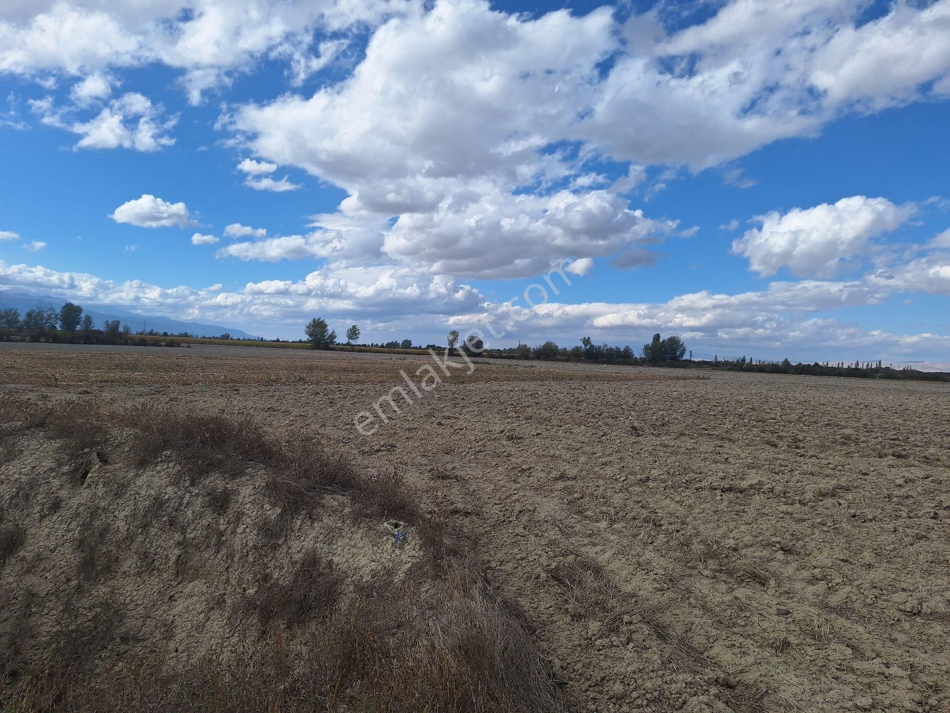 Dağlı Emlaktan Sögütlü - Görsel 3