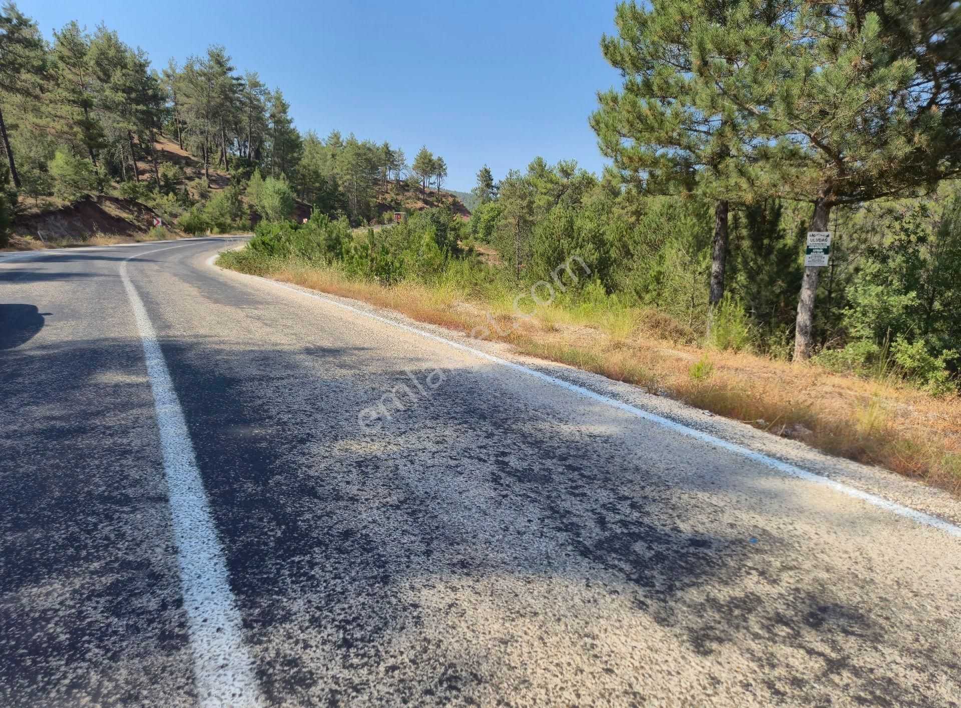 Realty World'dan Taraklı Pirler'de 9443m2 Kiraz Dikili Tarla - Görsel 8