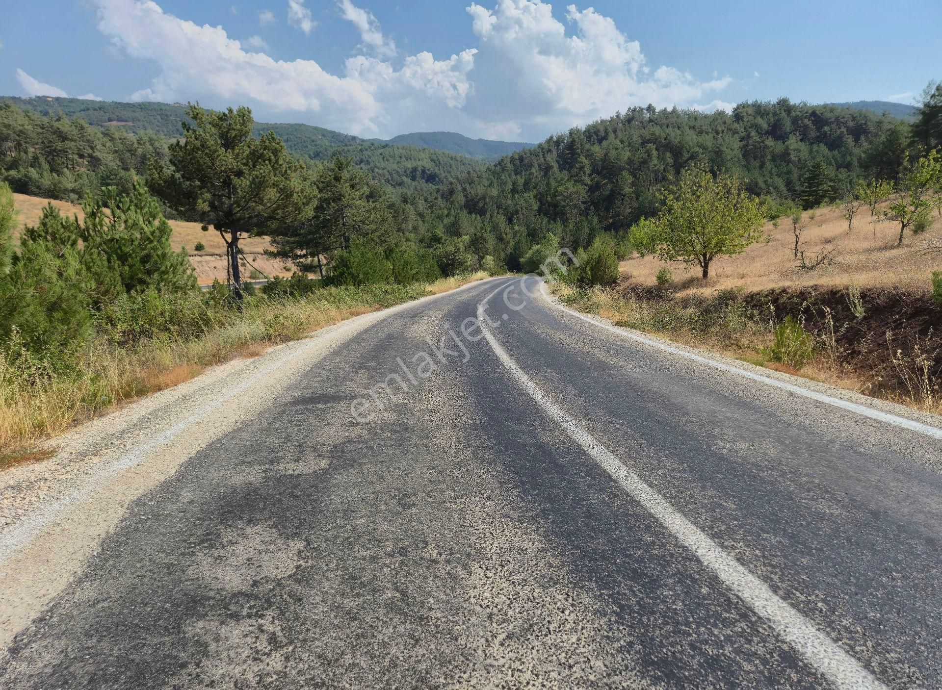 Realty World'dan Taraklı Pirler'de 9443m2 Kiraz Dikili Tarla - Görsel 7