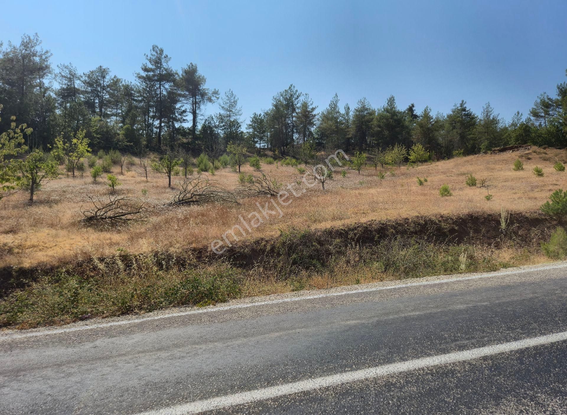 Realty World'dan Taraklı Pirler'de 9443m2 Kiraz Dikili Tarla - Görsel 2