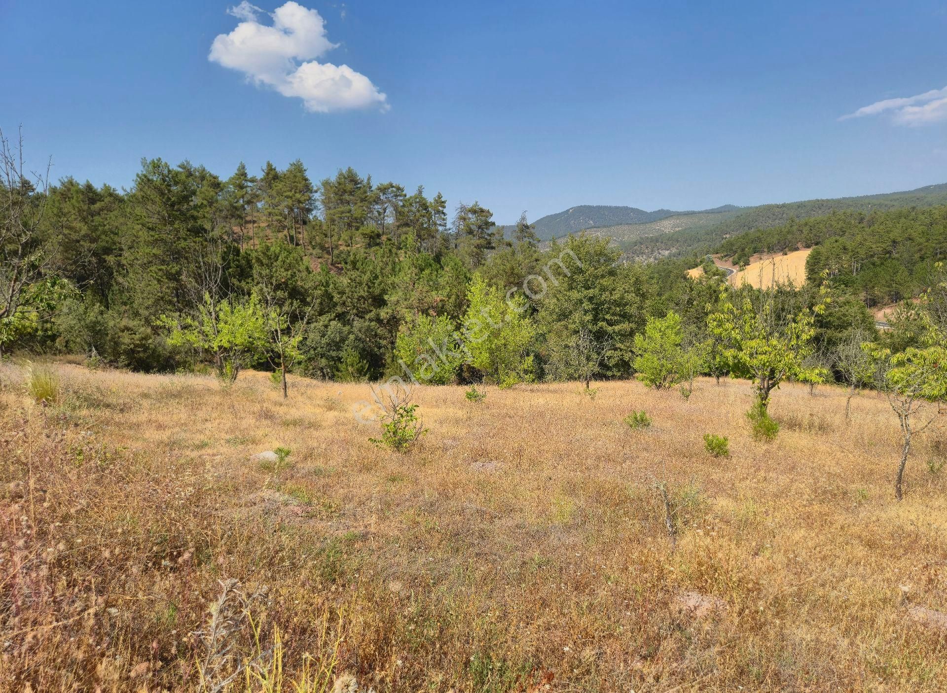 Realty World'dan Taraklı Pirler'de 9443m2 Kiraz Dikili Tarla - Görsel 9