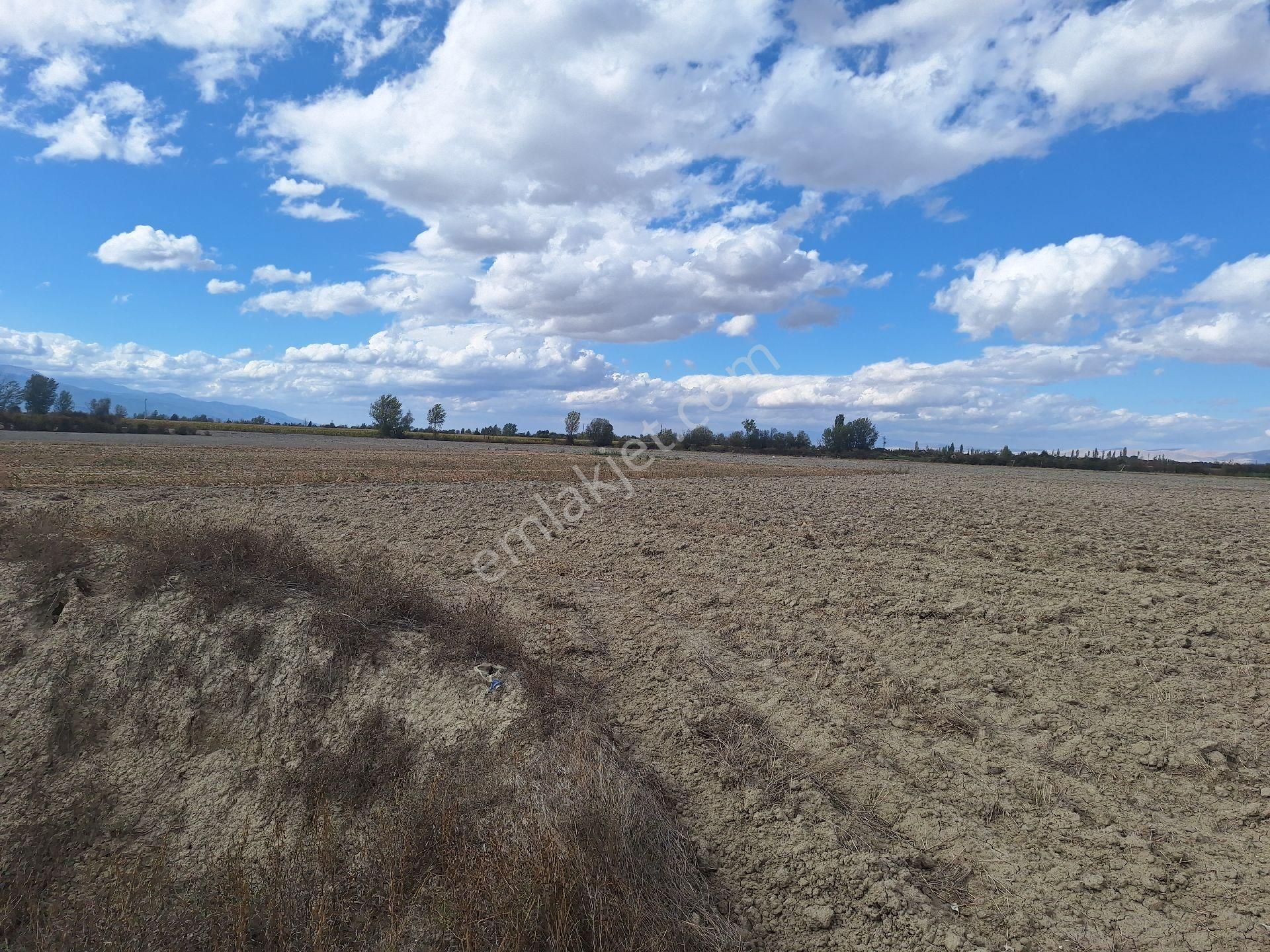 Dagli Emlaktan Sögütlü Mahallesinde - Görsel 3