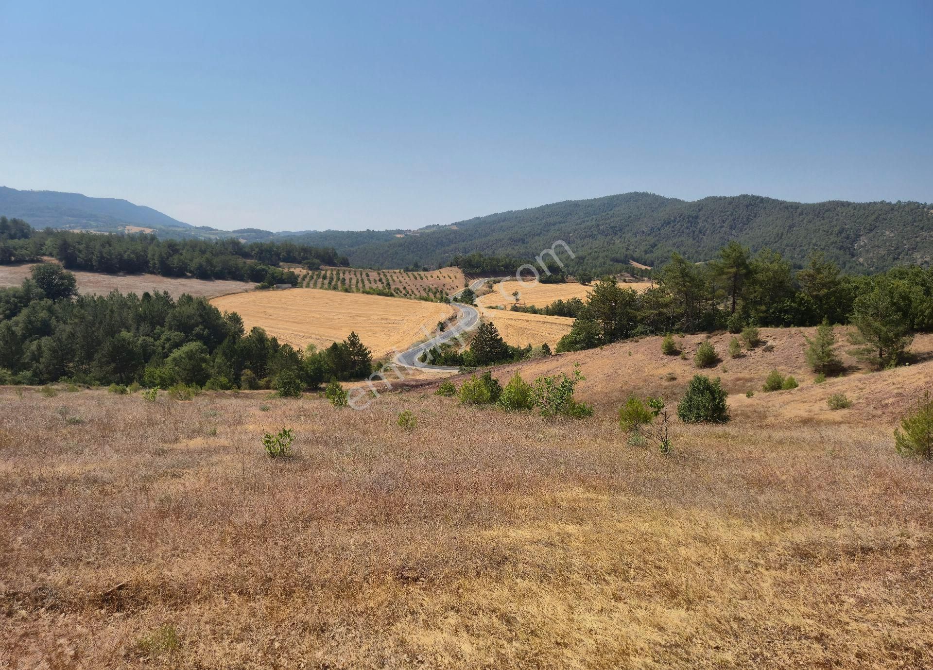 Realty World'dan Taraklı Hacialiler'de 4424m2 Gölet Yakını Tarla