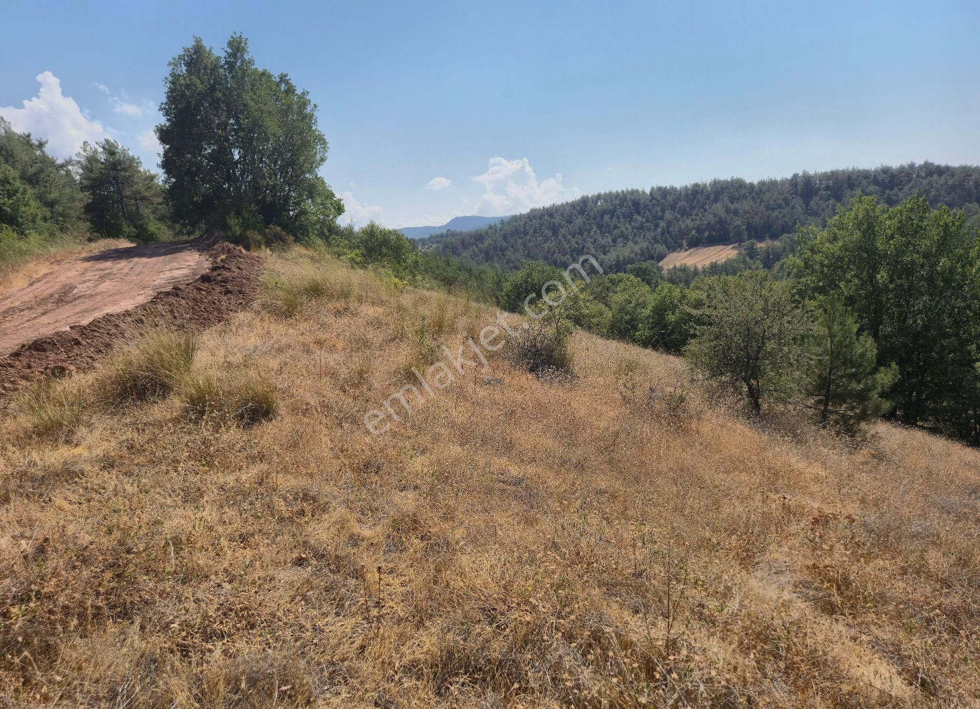 Realty World'dan Taraklı Hacialiler'de 4424m2 Gölet Yakını Tarla - Görsel 9