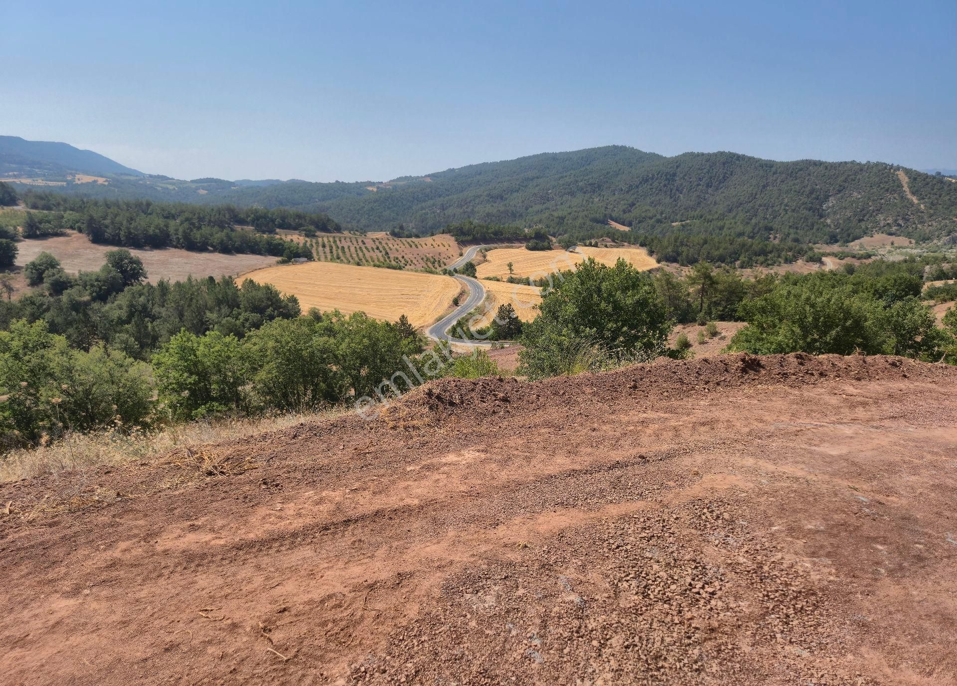 Realty World'dan Taraklı Hacialiler'de 4424m2 Gölet Yakını Tarla - Görsel 2