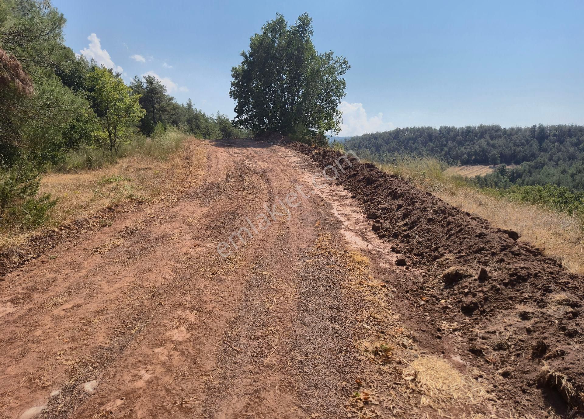 Realty World'dan Taraklı Hacialiler'de 4424m2 Gölet Yakını Tarla - Görsel 6