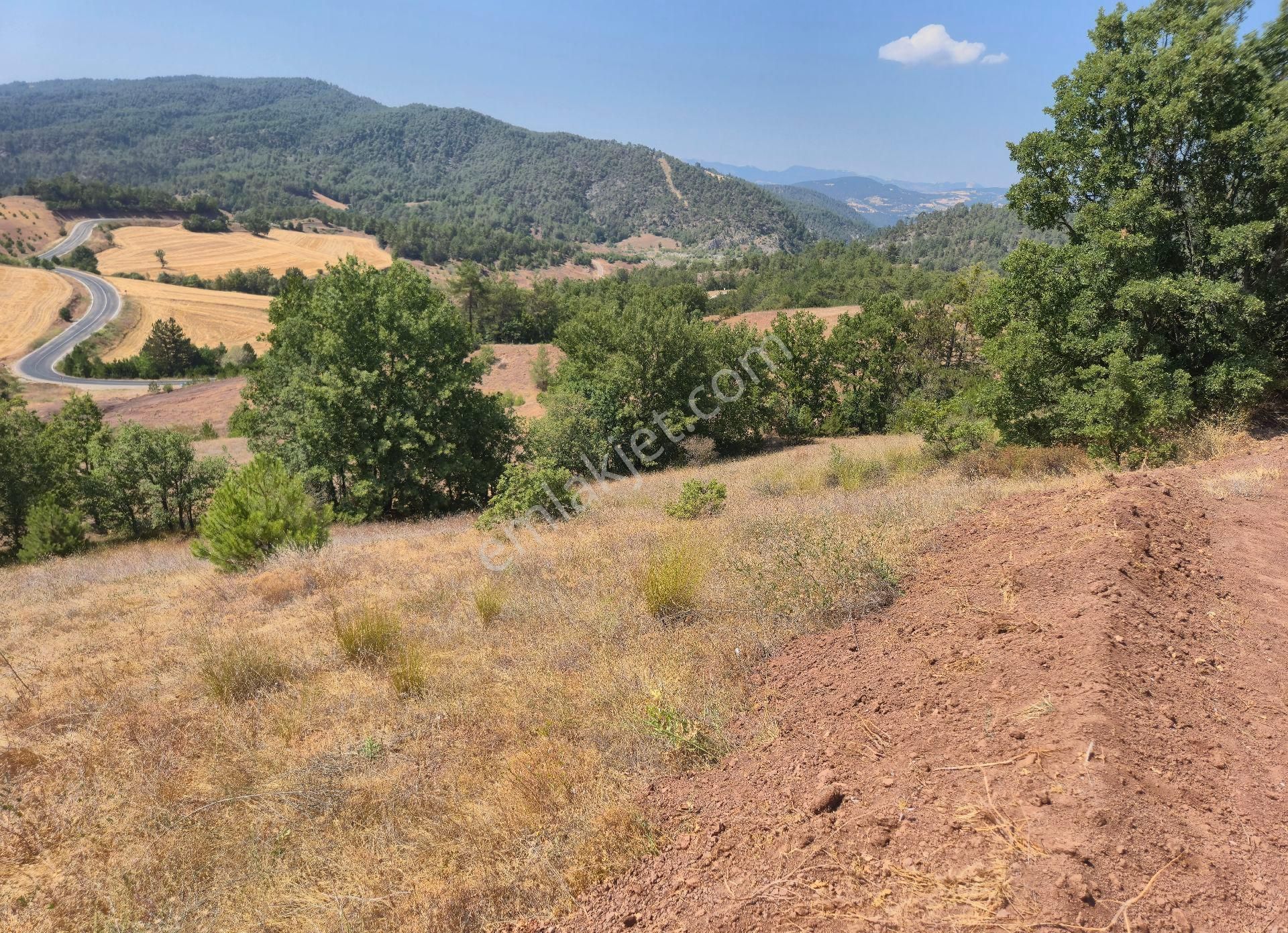 Realty World'dan Taraklı Hacialiler'de 4424m2 Gölet Yakını Tarla - Görsel 8