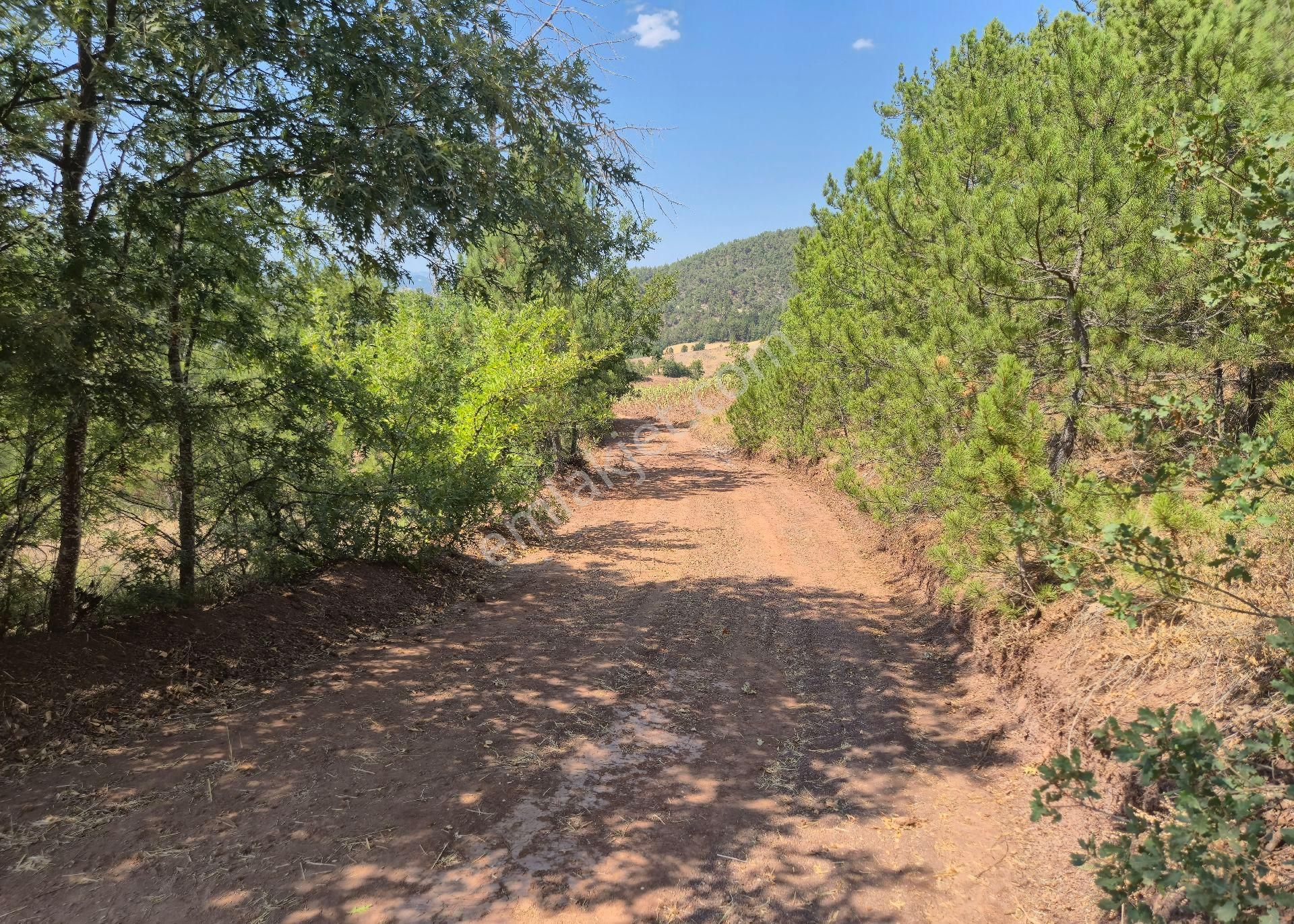 Realty World'dan Taraklı Hacialiler'de 4424m2 Gölet Yakını Tarla - Görsel 5