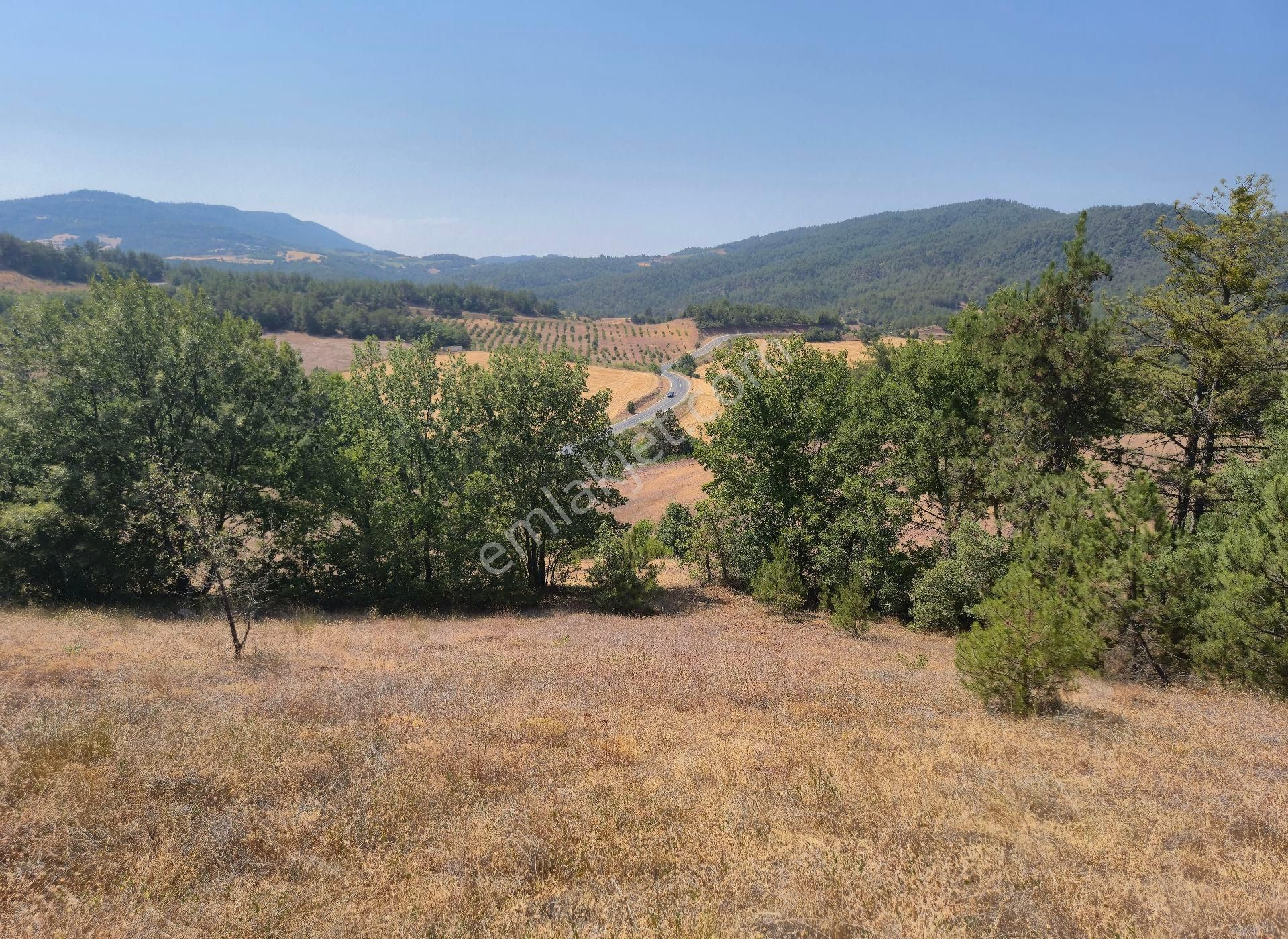 Realty World'dan Taraklı Hacialiler'de 4424m2 Gölet Yakını Tarla - Görsel 3