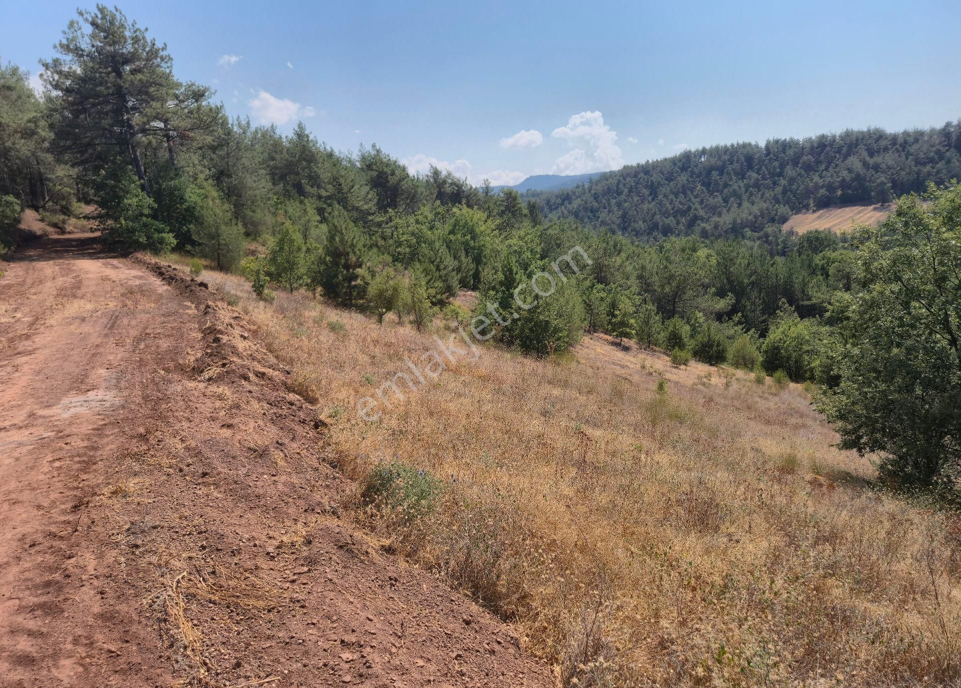 Realty World'dan Taraklı Hacialiler'de 4424m2 Gölet Yakını Tarla - Görsel 7