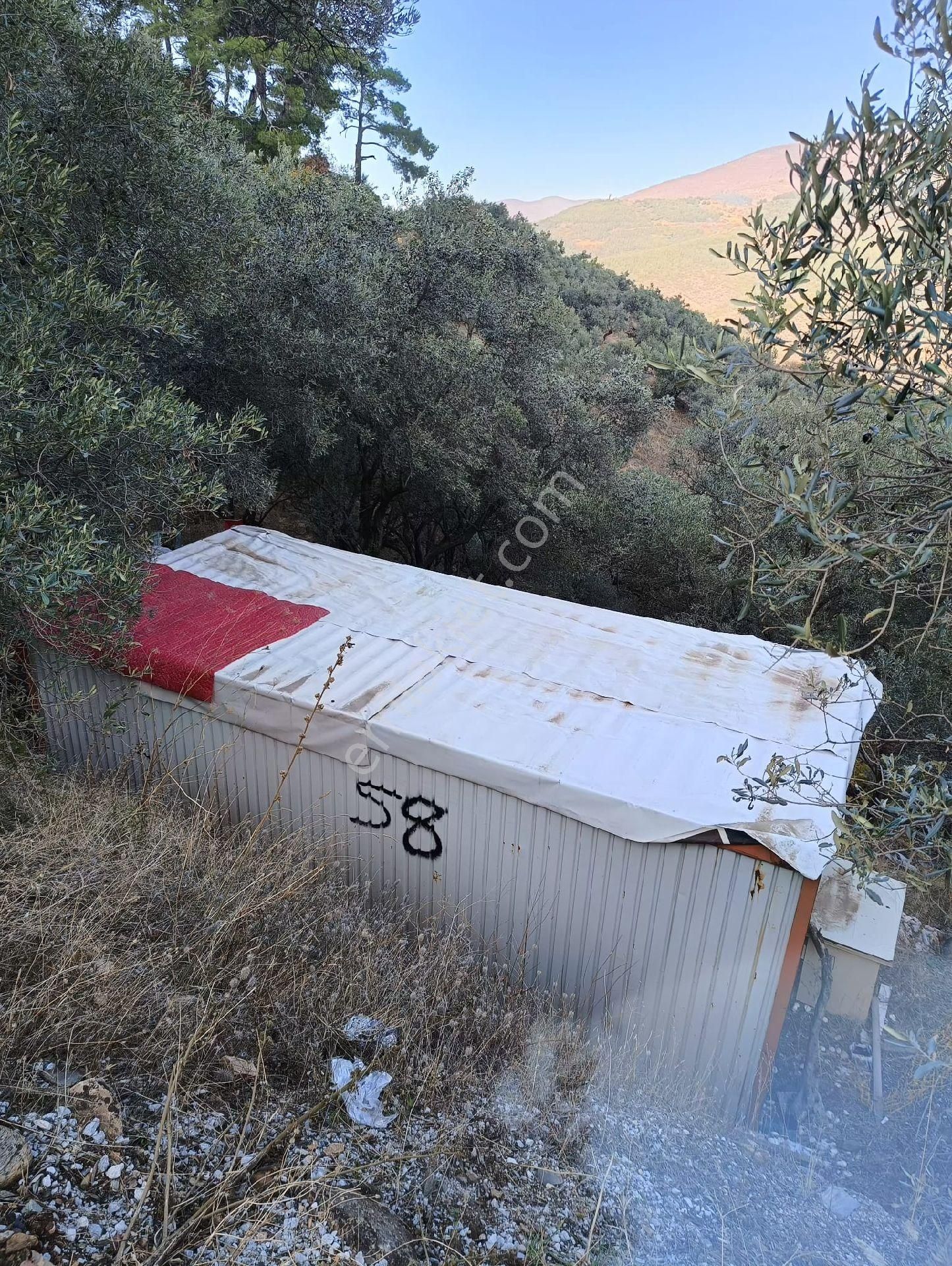Bayındır Kizilobada Asvalt Yol Kenari - Görsel 5