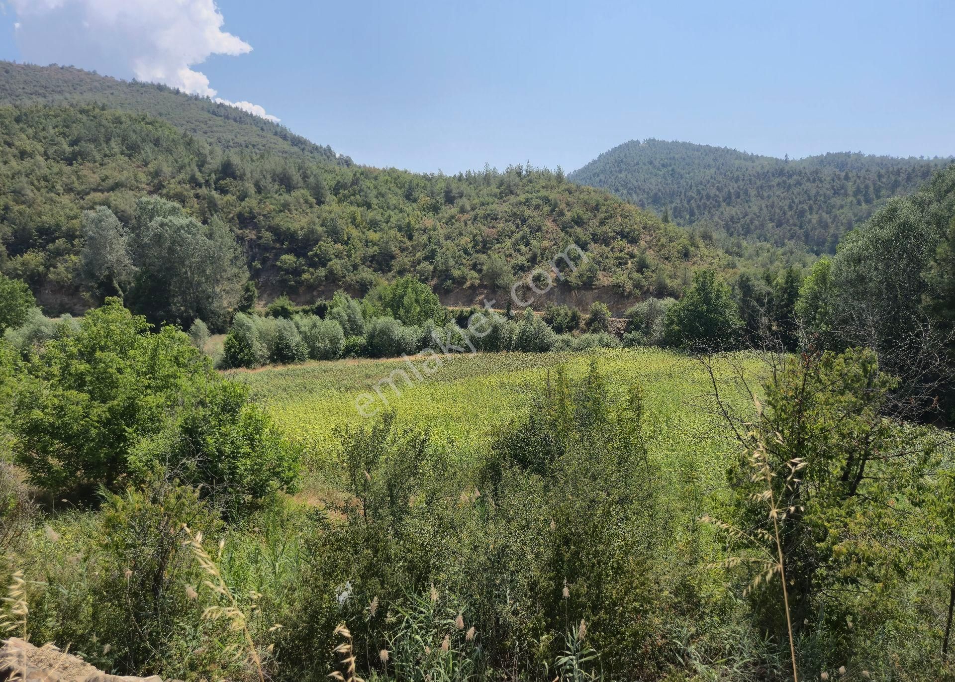 Realty World'dan Taraklı Yusufbey'de 3360m2 D150ye Cephe Ayçiçek Bahçesi - Görsel 3