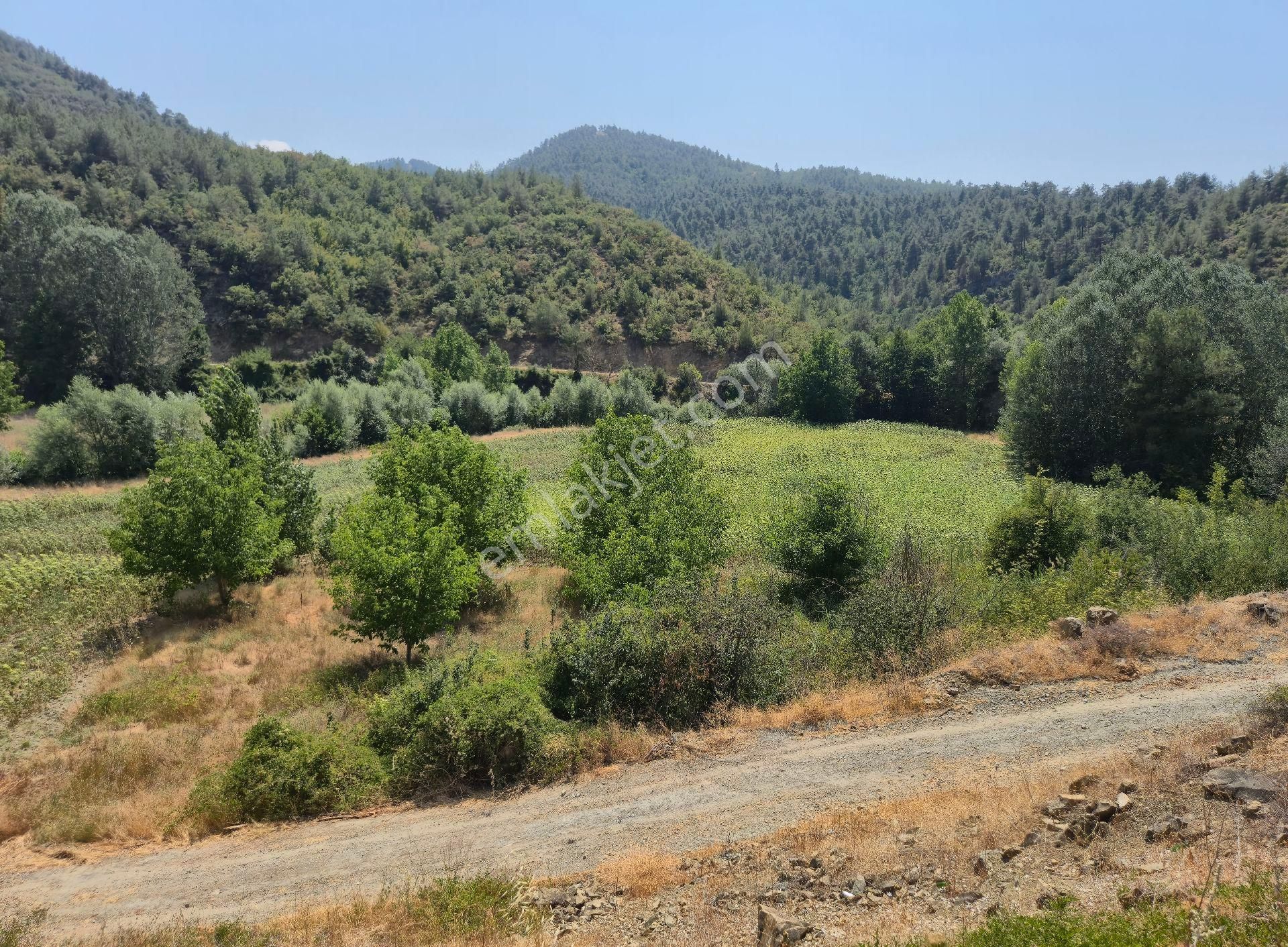 Realty World'dan Taraklı Yusufbey'de 3360m2 D150ye Cephe Ayçiçek Bahçesi - Görsel 4