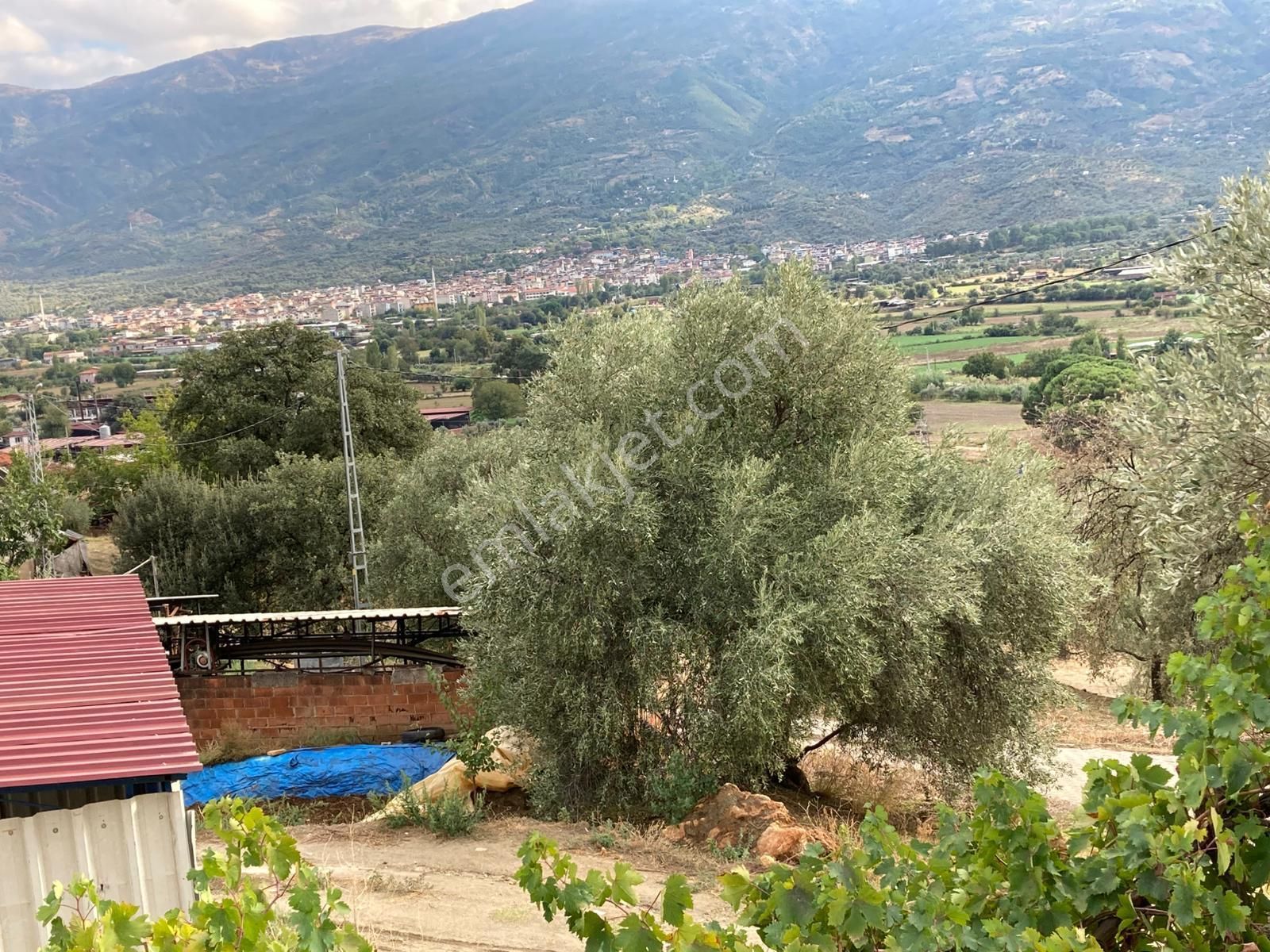 Beydağ Müstakil Köyevi Ve Zeytinlik 2406 M2 - Görsel 9