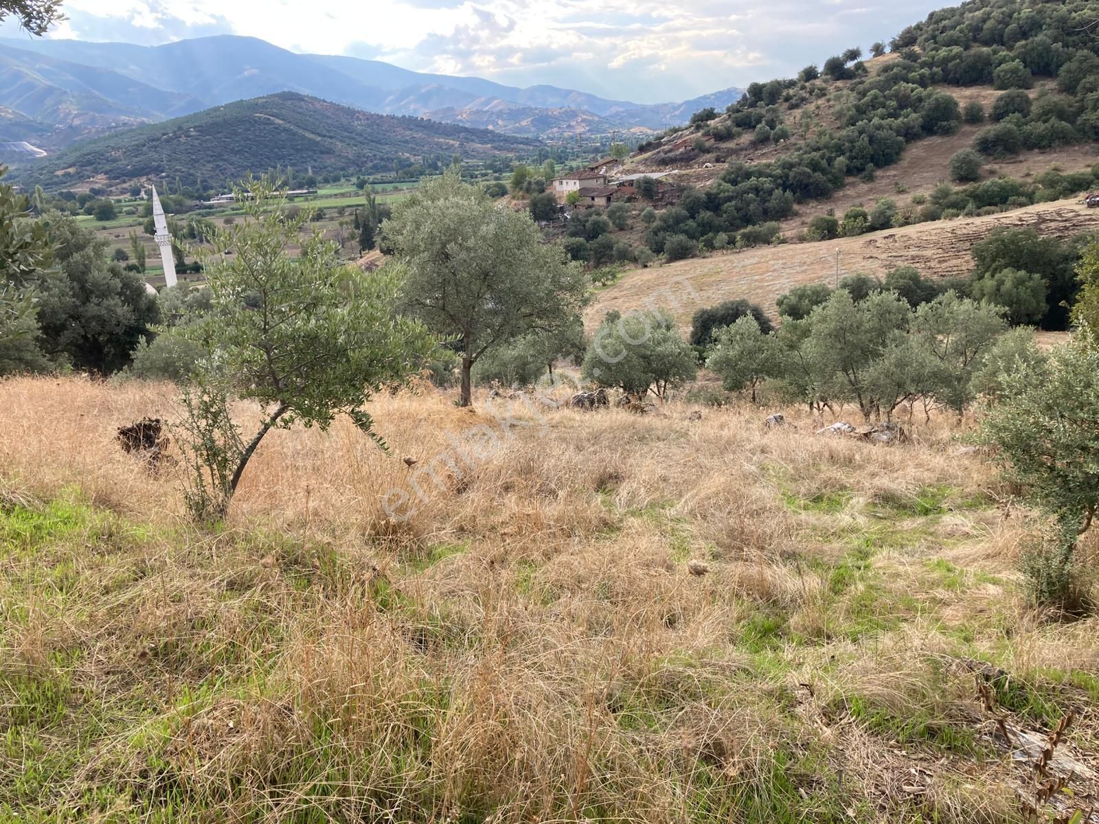 Beydağ Müstakil Köyevi Ve Zeytinlik 2406 M2 - Görsel 24