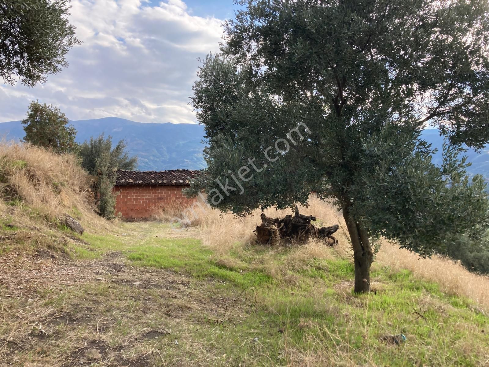 Beydağ Müstakil Köyevi Ve Zeytinlik 2406 M2 - Görsel 11