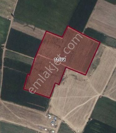 Organize Sanayi Bölgesine Yakın Yatırımlık 25 800 M2 Tarla - Görsel 2