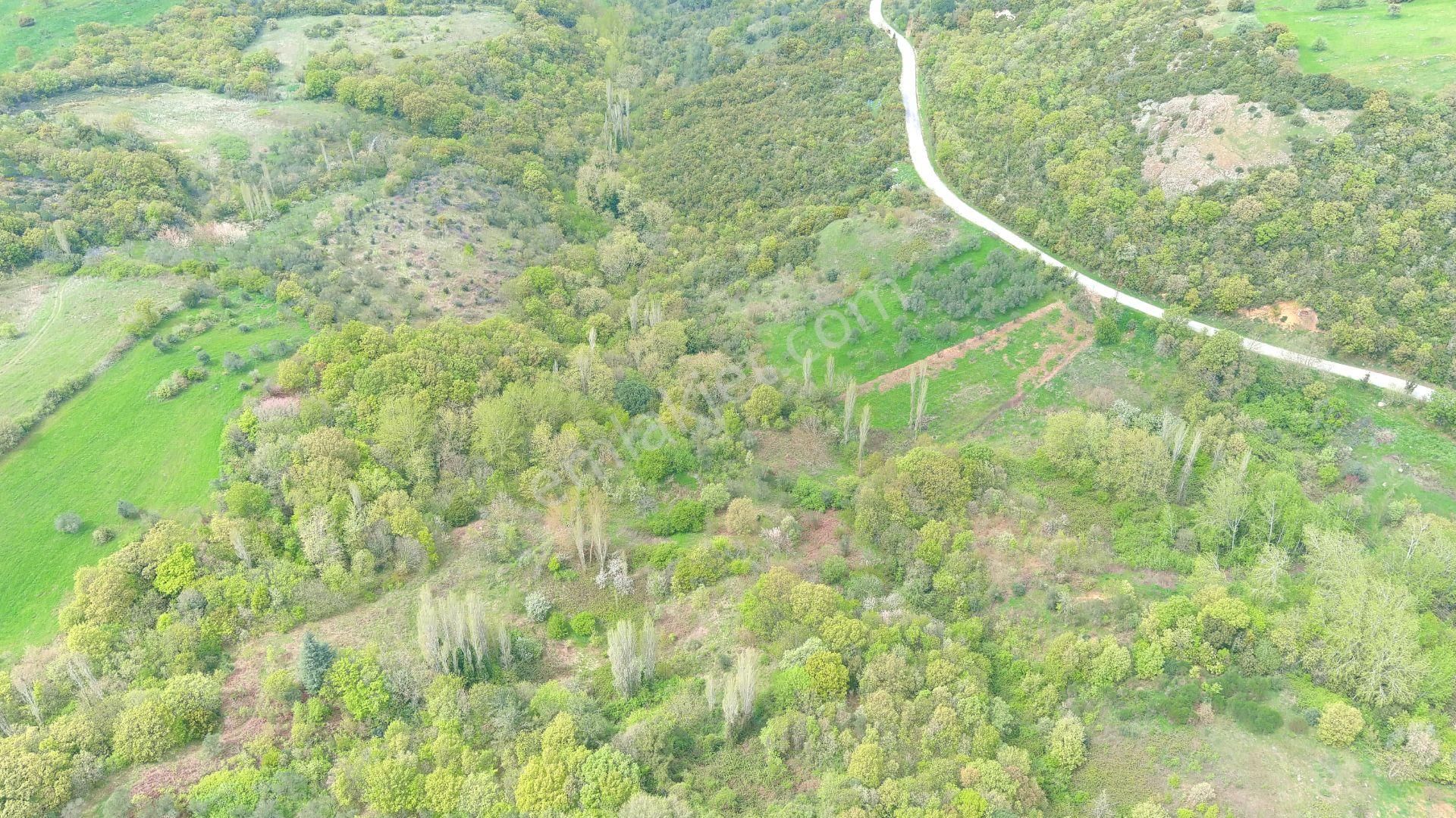 Çanakkale Mecidiyede Boğaz Manzaralı Satılık İki Adet Tarla - Görsel 16