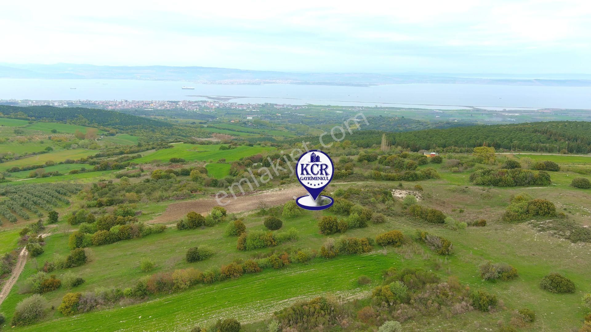 Çanakkale Mecidiyede Boğaz Manzaralı Satılık İki Adet Tarla - Görsel 17