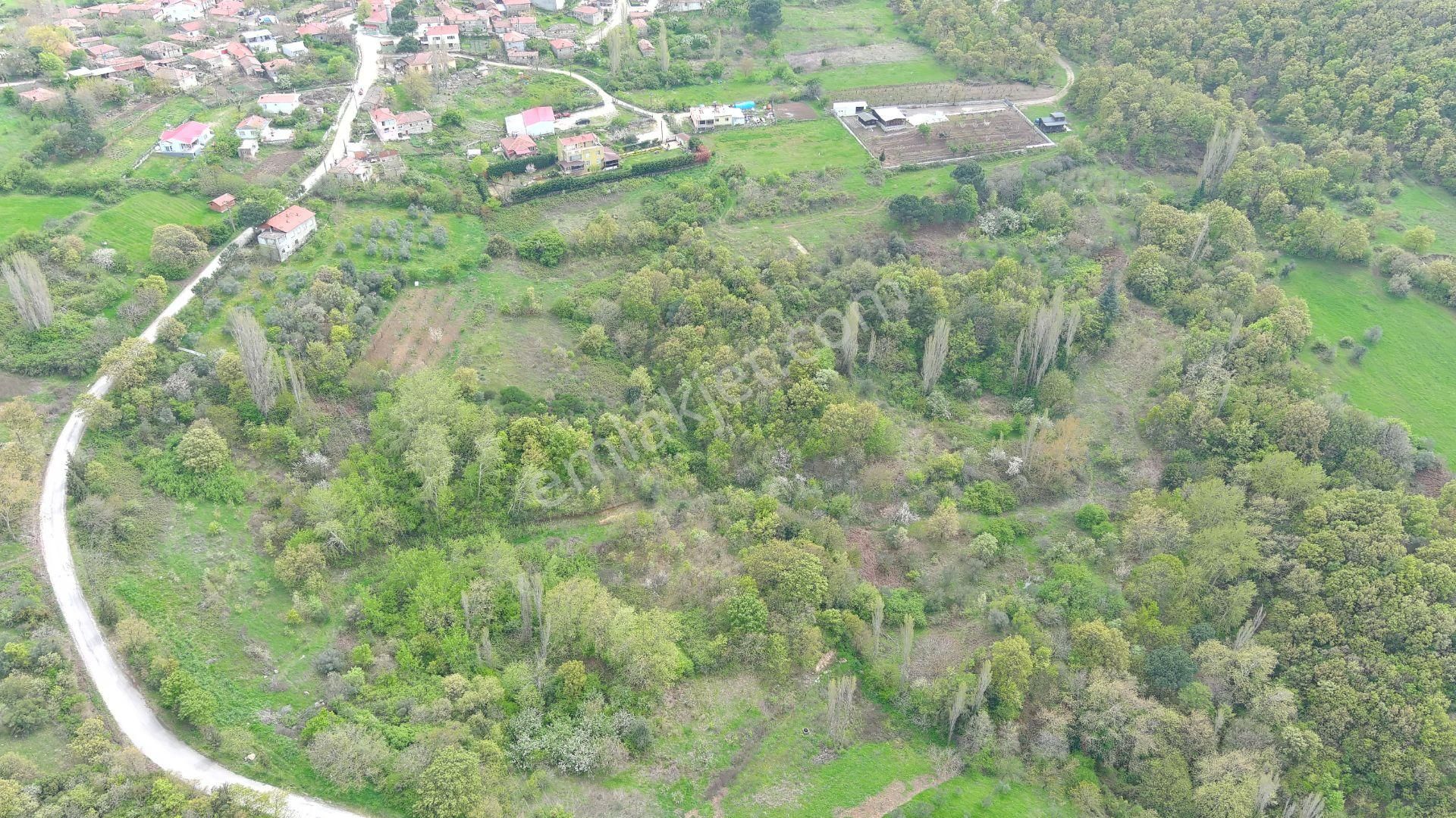 Çanakkale Mecidiyede Boğaz Manzaralı Satılık İki Adet Tarla - Görsel 19